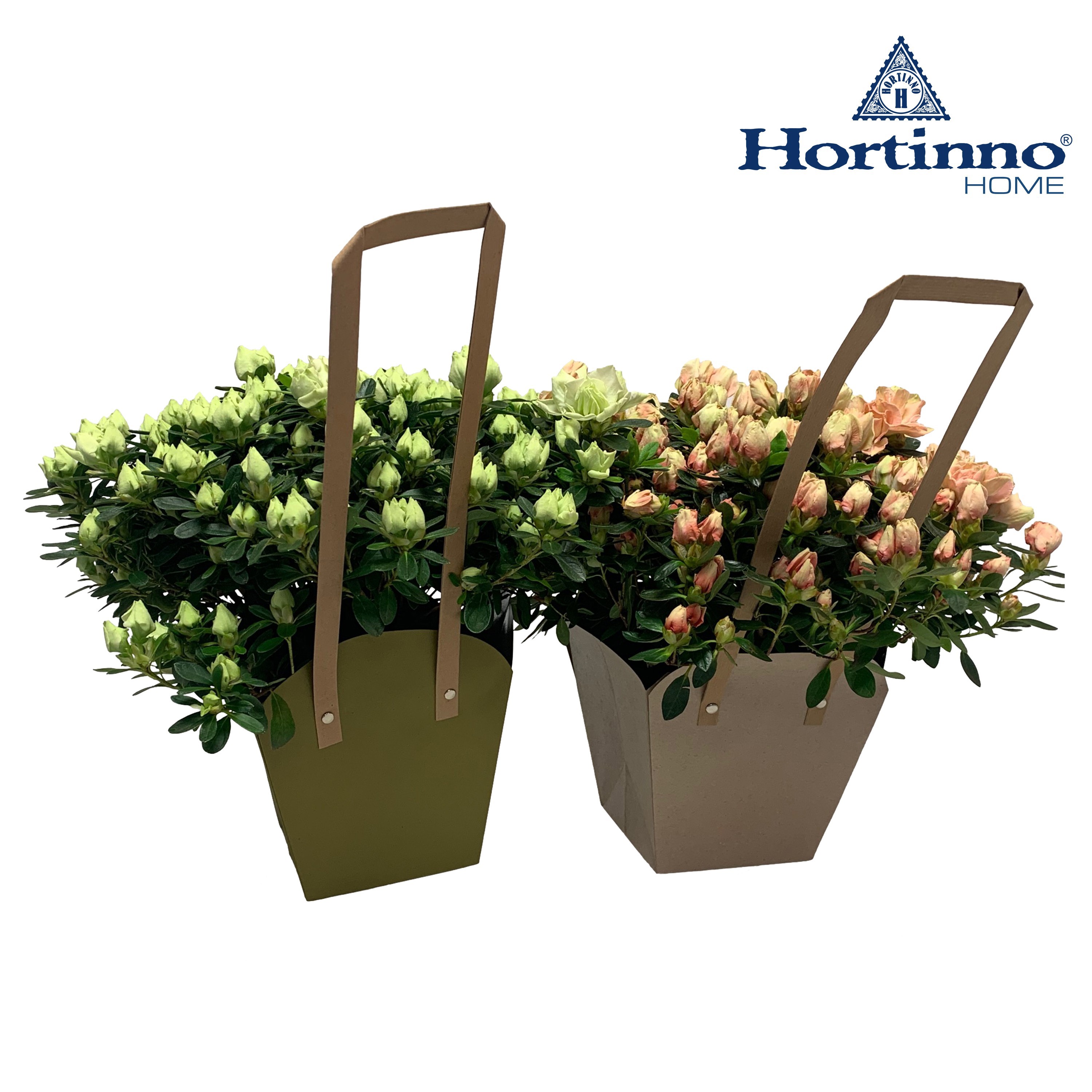 Hortinno® Home 'draagtas', D 13