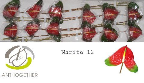 Антуриум Нарита x12, шт. Антуриум Нарита x12, шт.