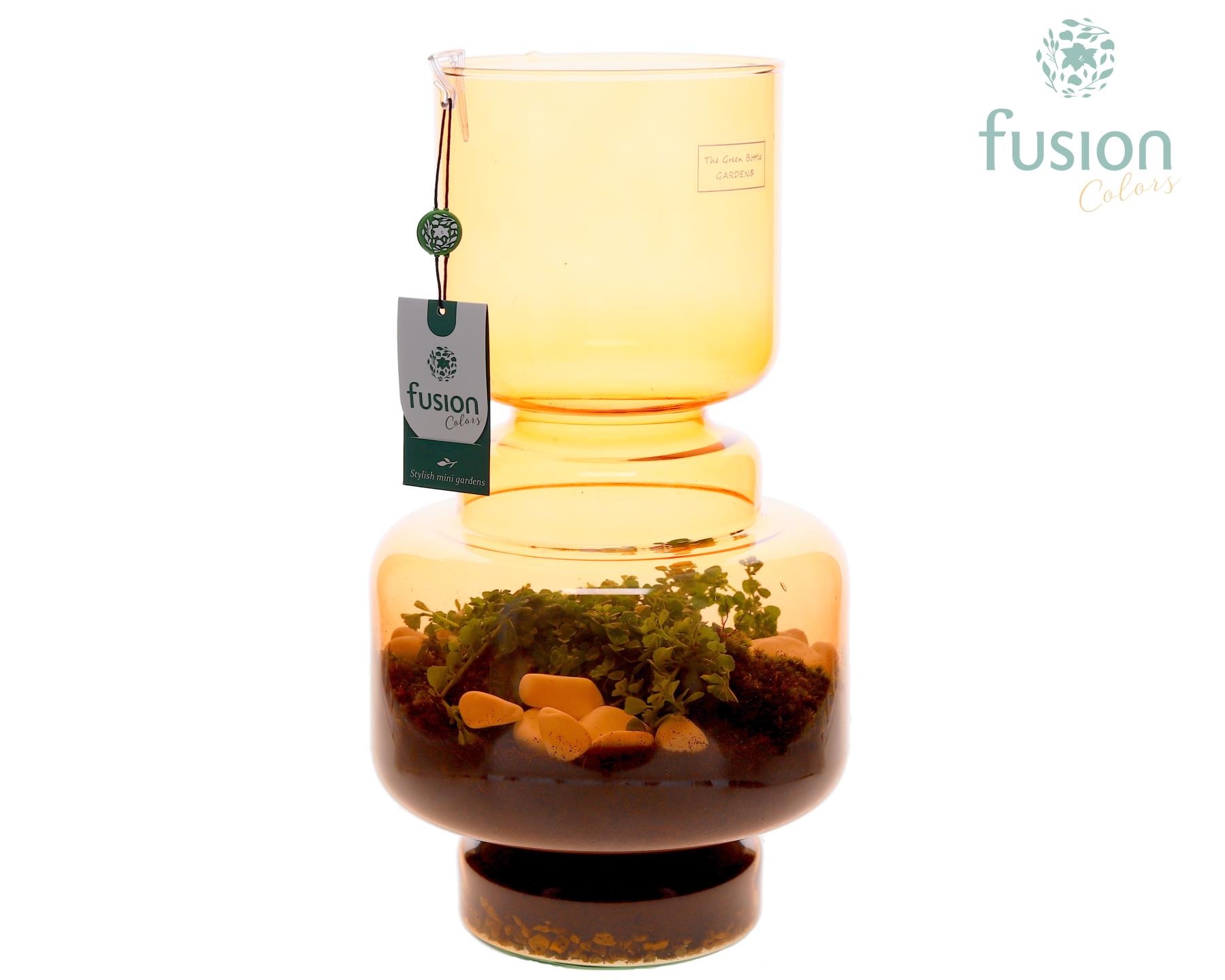 Green Bottle Lotte Large bruin met Pilea, D 22