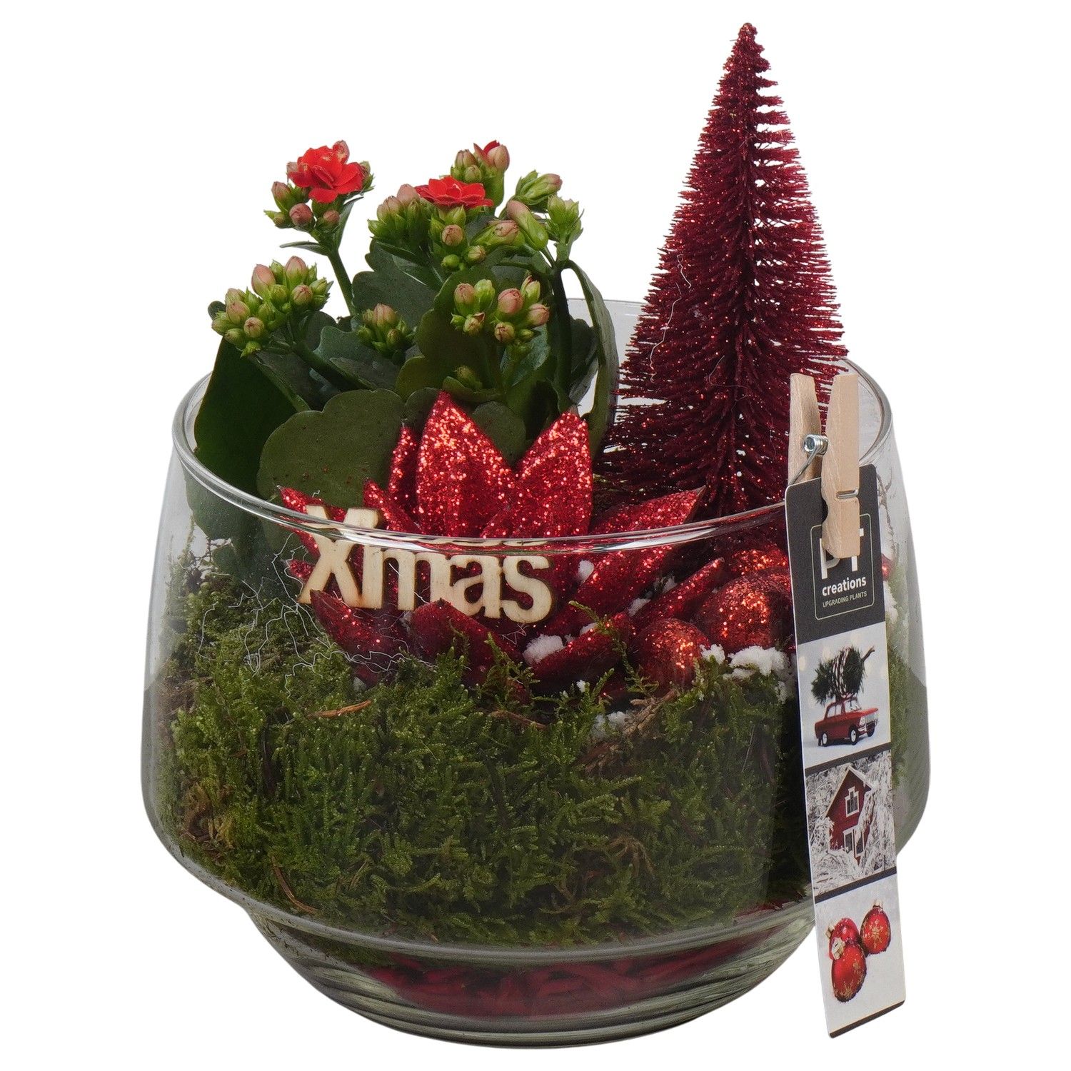 PTCHR7453 Arrangement Christmas Red in glazen pot, D 17 cm