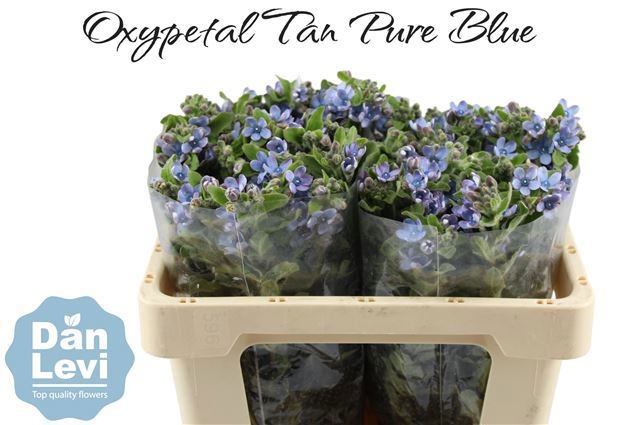 Оксипеталум Таниока Пьюр Блю 50 (голуб.), шт.