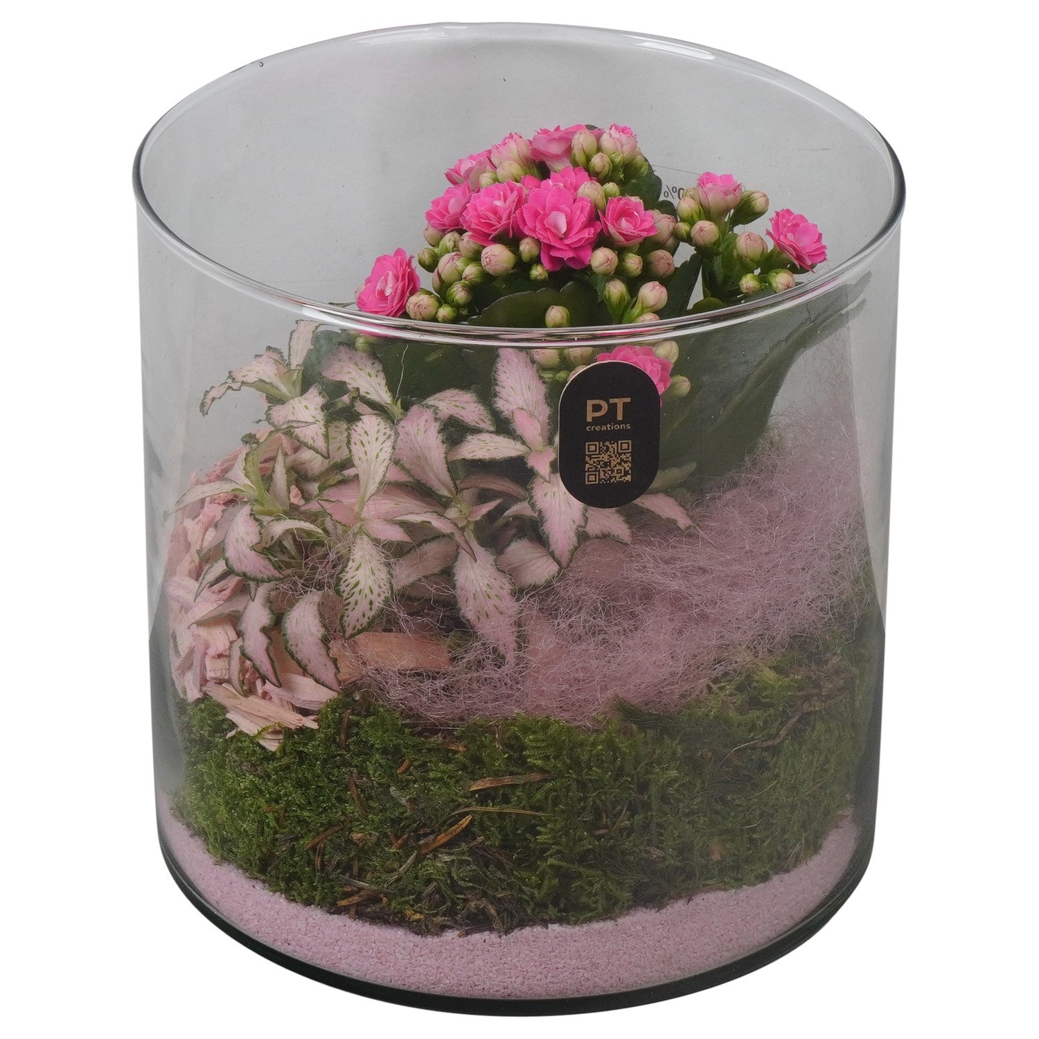 PTIG2609 Arrangement Indoor in glas cylinder, D 15