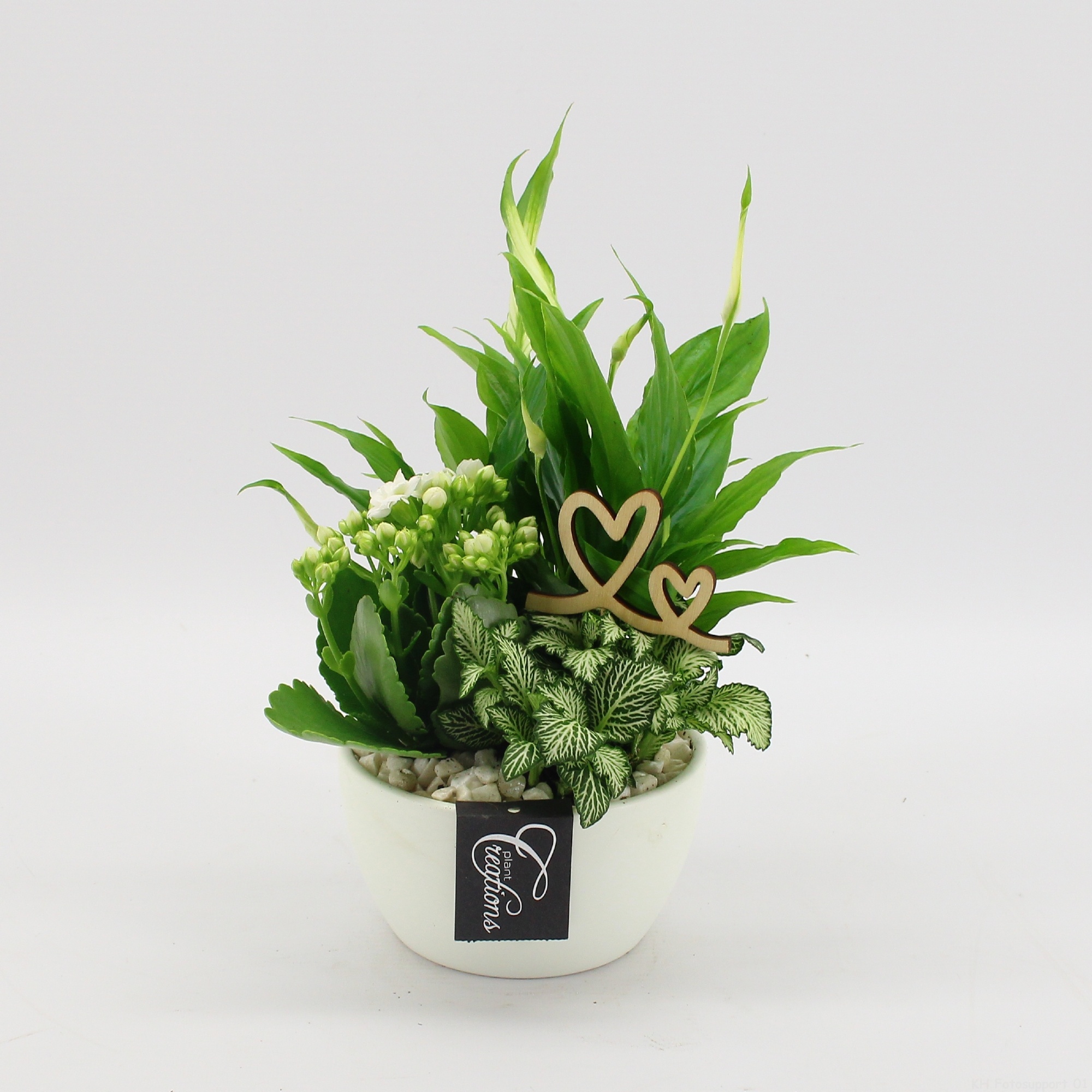 FDRM-2607W Romantic Fundamentals, D 14