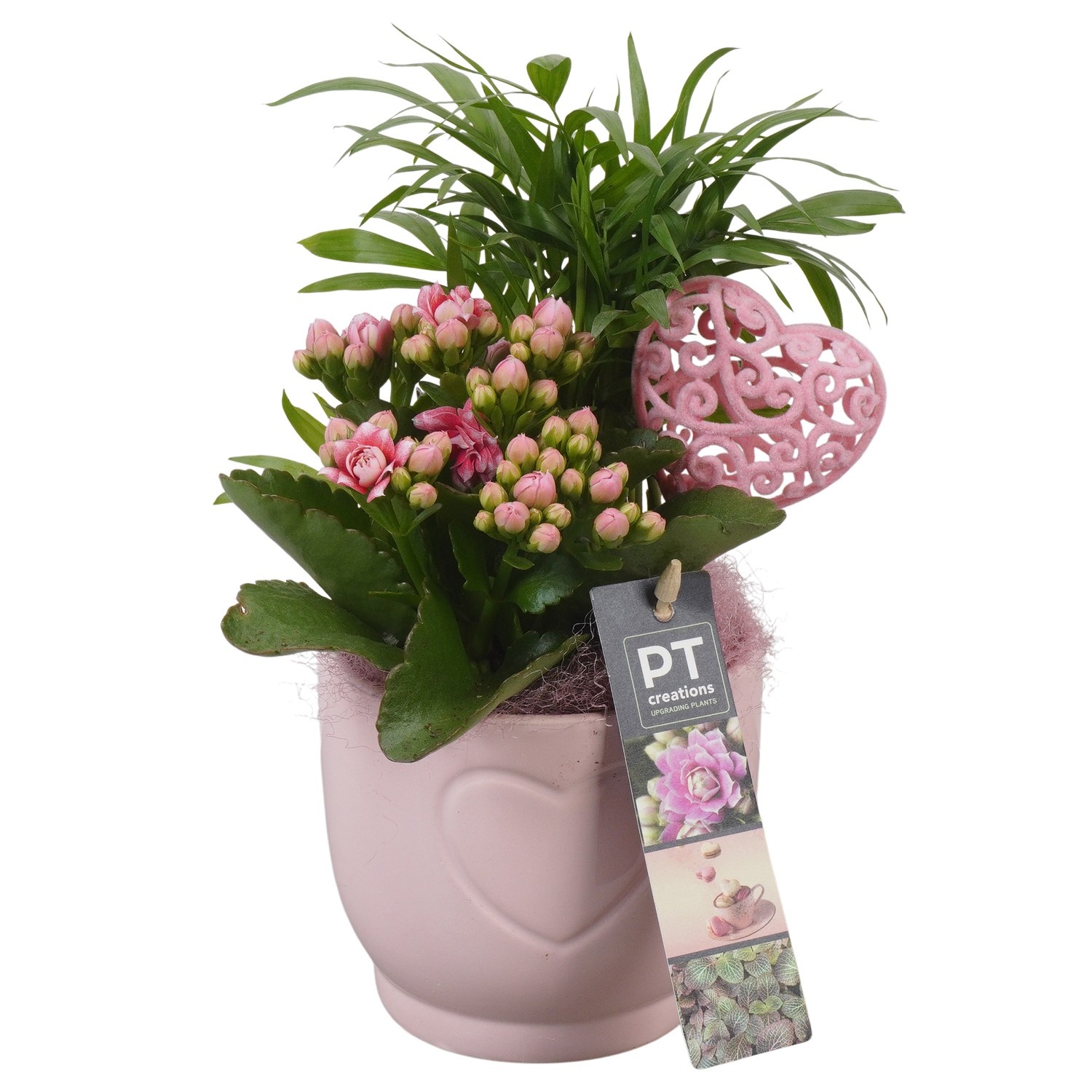 PTVMB2256 Arrangement Valentines-Mothersday in keramiek sierpot, D 11