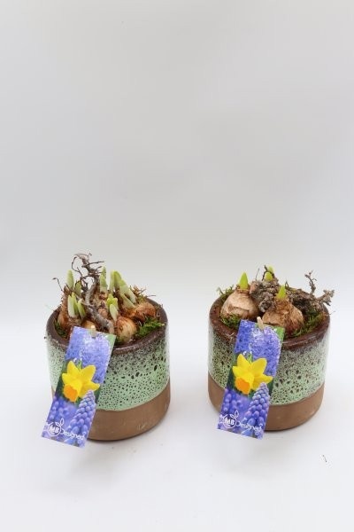 Bollen, luxe keramiek cilinder S; mix, D 13