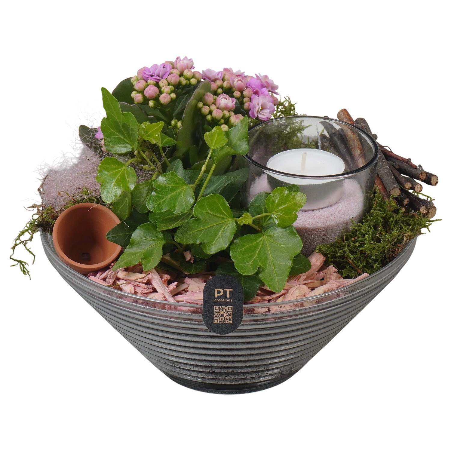 PTIG2656 Arrangement Indoor in glas schaal, D 19