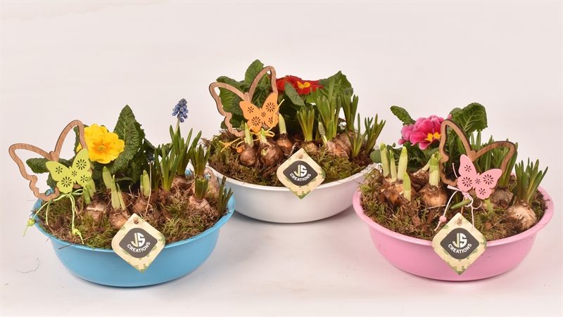 Zink schaal kl.mix 22cm, D 22