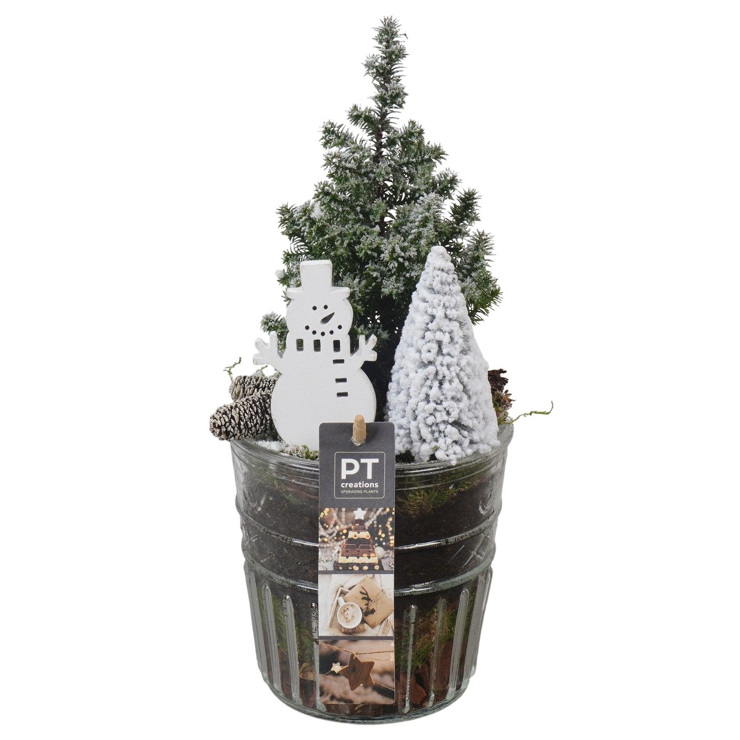 PTCWW6803 Arrangement Winter in glazen vaas, D 12 cm