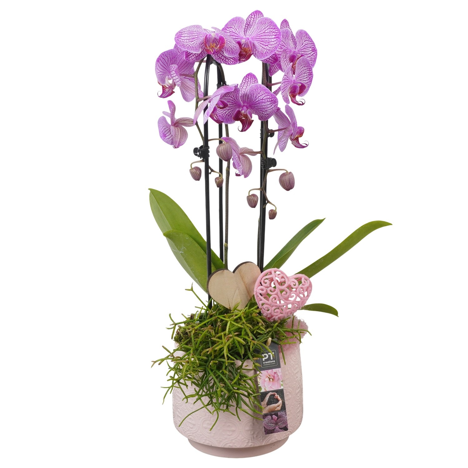 PTVMB2237 Arrangement Valentines-Mothersday in keramiek sierpot, D 17