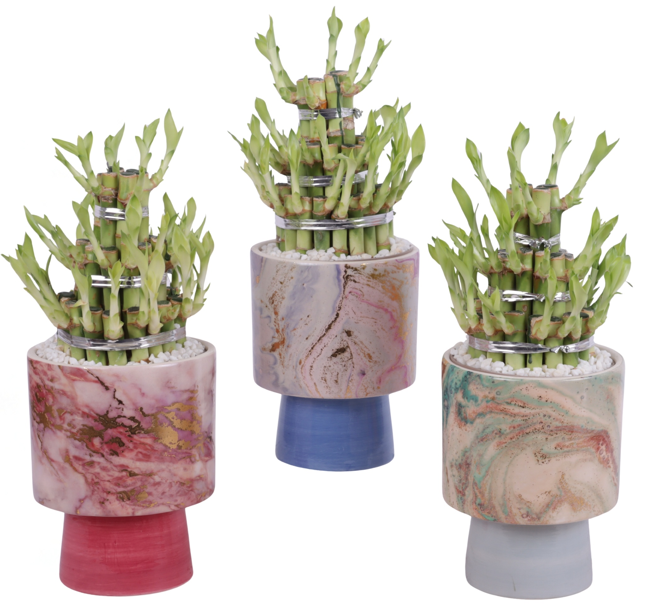Lucky Bamboo Shape Round 3B Ø14cm Ceramic FB676, D 14
