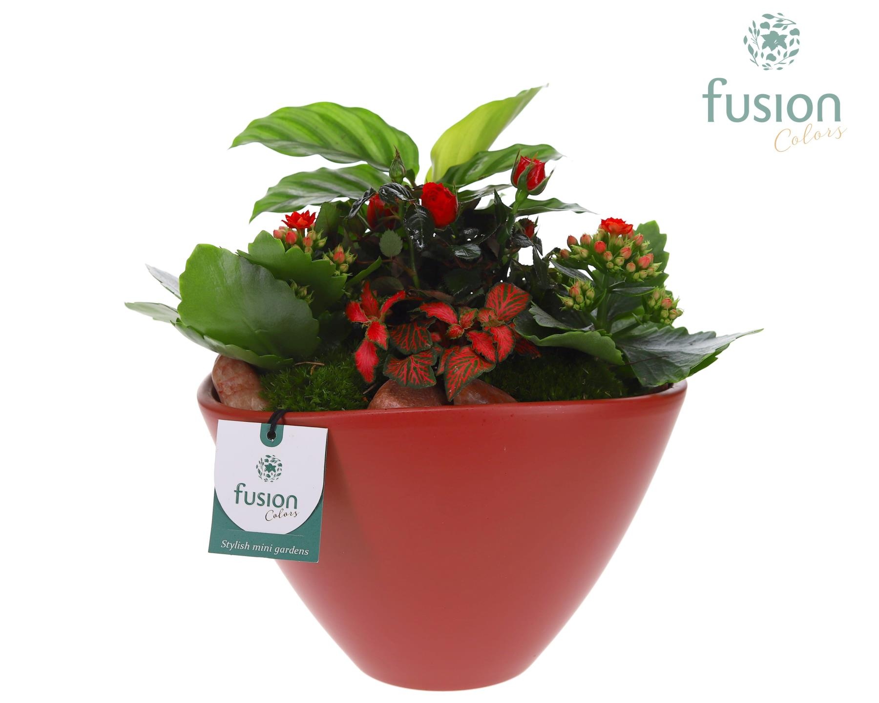 Pot keramiek Oval Large marsala red Love met arrangement, D 21