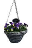 V31-9323 Viola wilg grijs hangmand, D 25