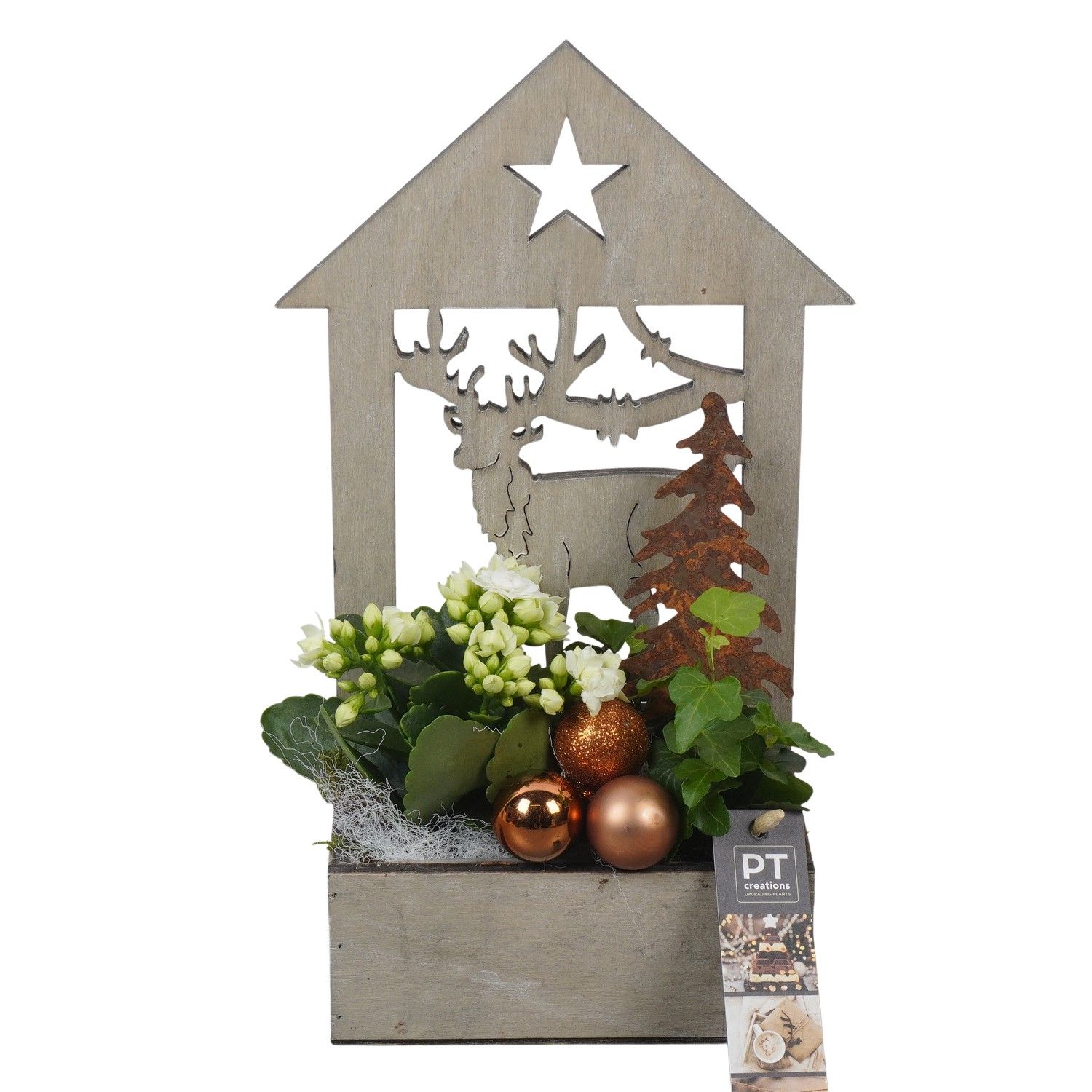 PTCHB9819 Arrangement Christmas Bronze in houten bak, D 16 cm