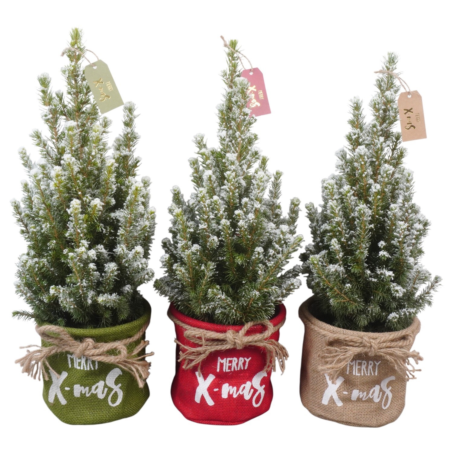 PTK26350 Conica Perfecta met sneeuw in jute mix met decoratie, D 14