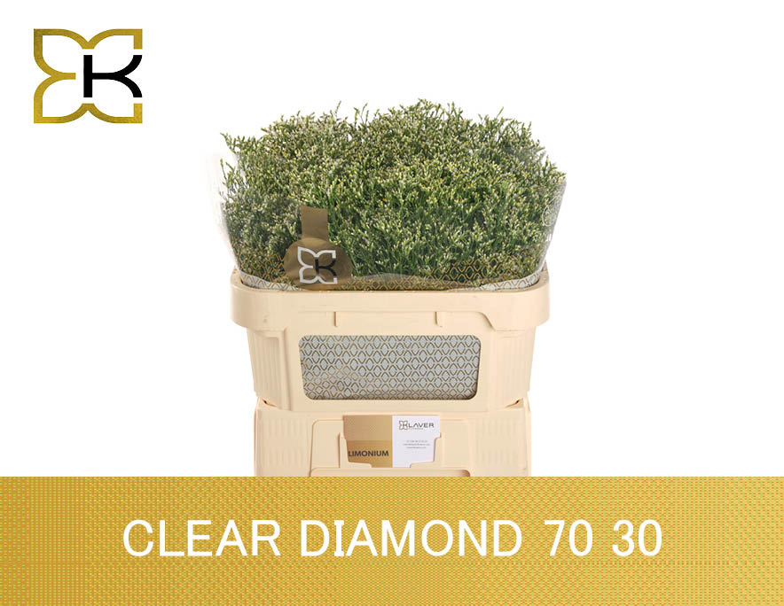 Лимониум Клеа Даймонд 70, шт.