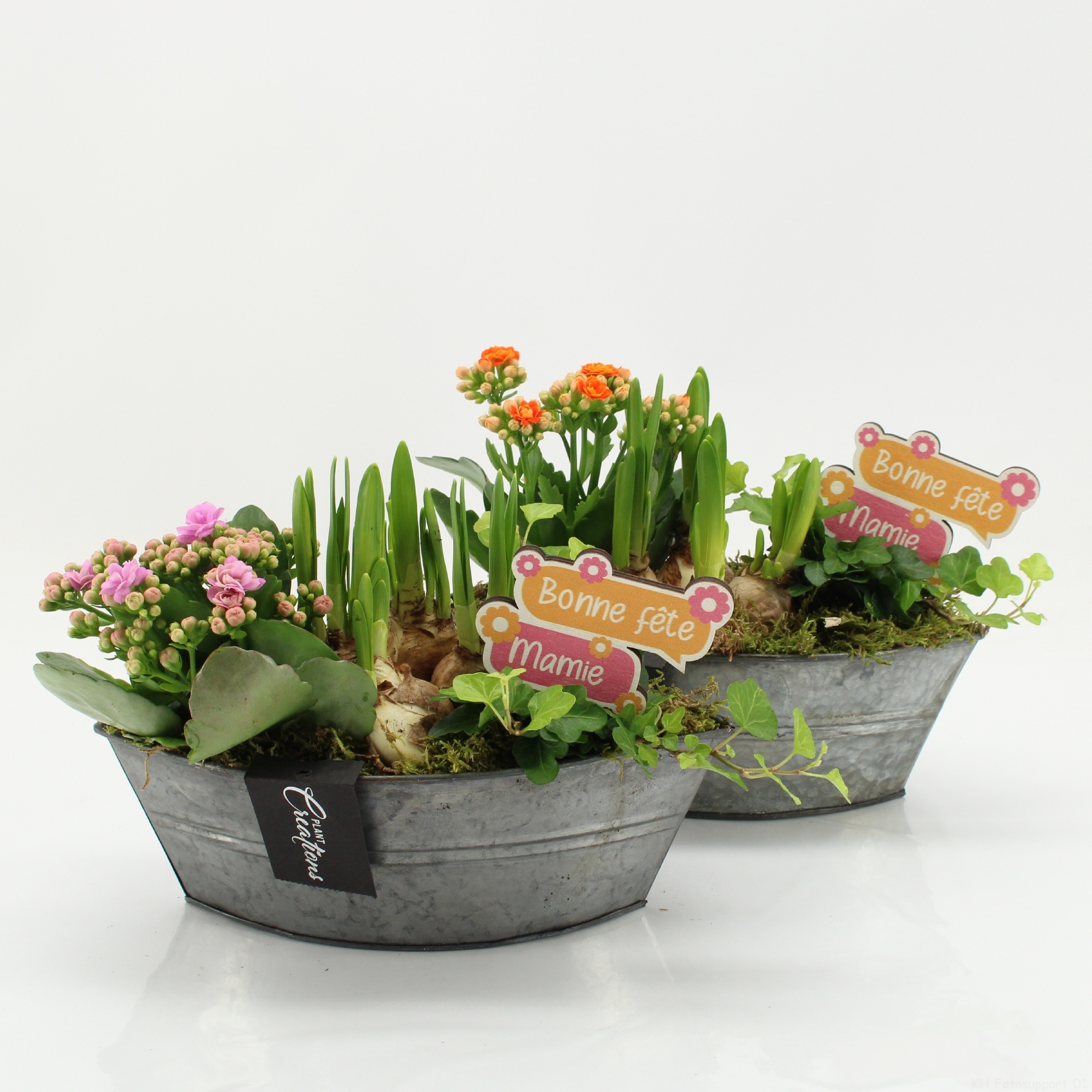 FGCR-2613 Fête des grands-mères, D 22