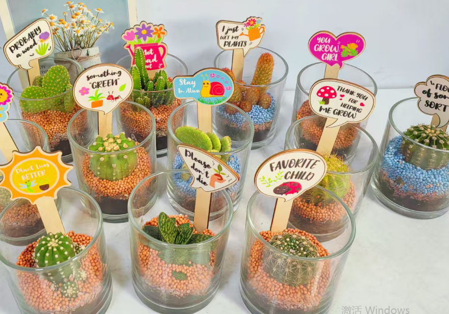 кактус раунд гласс-боттле оф ексквуисите сет 8 10