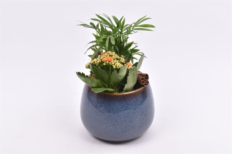 Keramiek bol pot 16.5cm, D 13