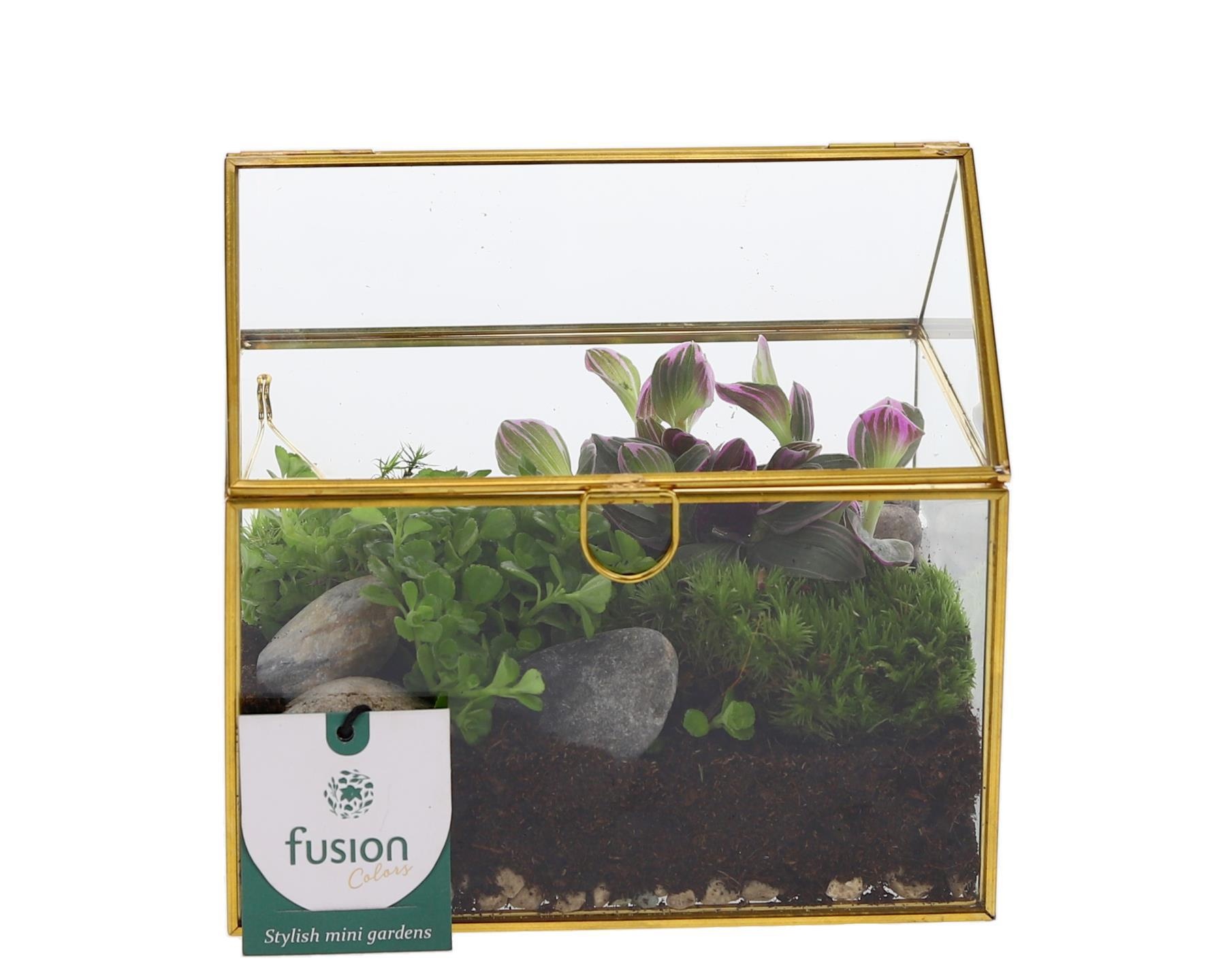 Glazen huis met arrangement, D 15