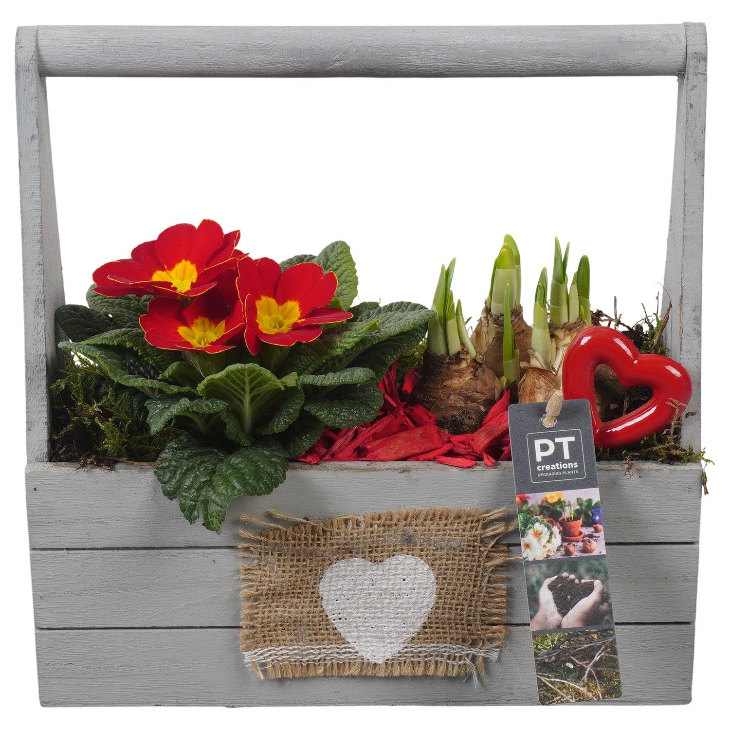 PTVO3619 Arrangement Valentine Outdoor in houten bak, D 25