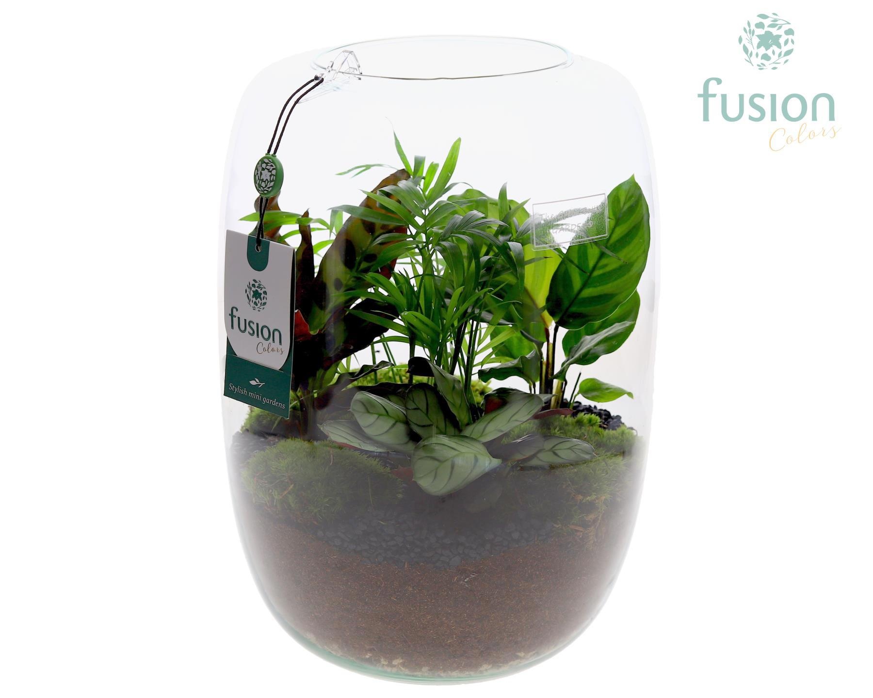 Green BottleIsabella XLarge met groene planten, D 23