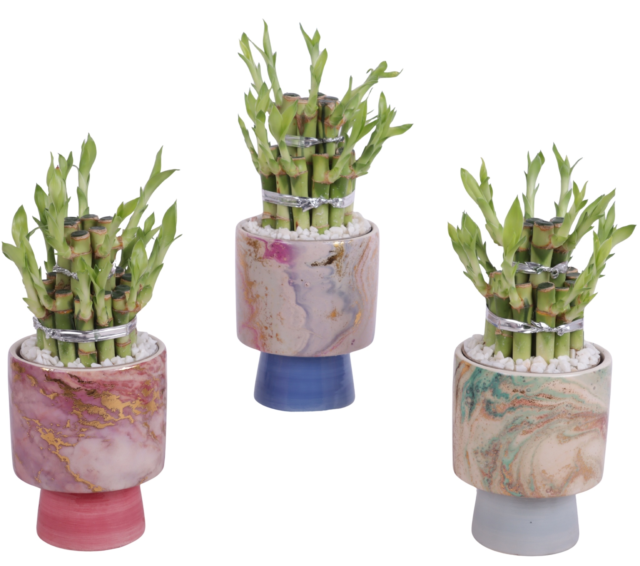 Lucky Bamboo Shape Round 2B Ø10cm Ceramic FB676, D 10