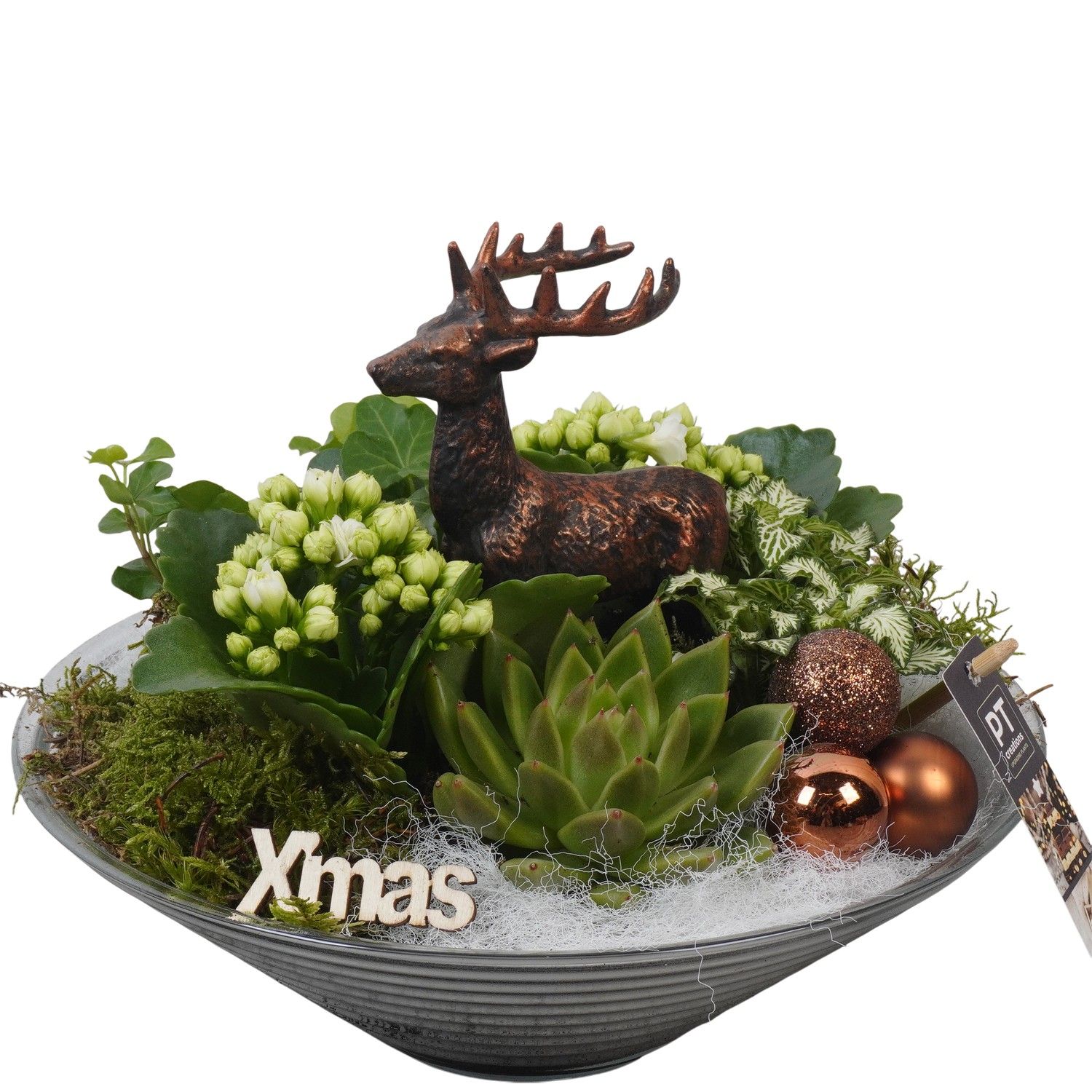 PTCHB9839 Arrangement Christmas Bronze in glas schaal, D 26 cm