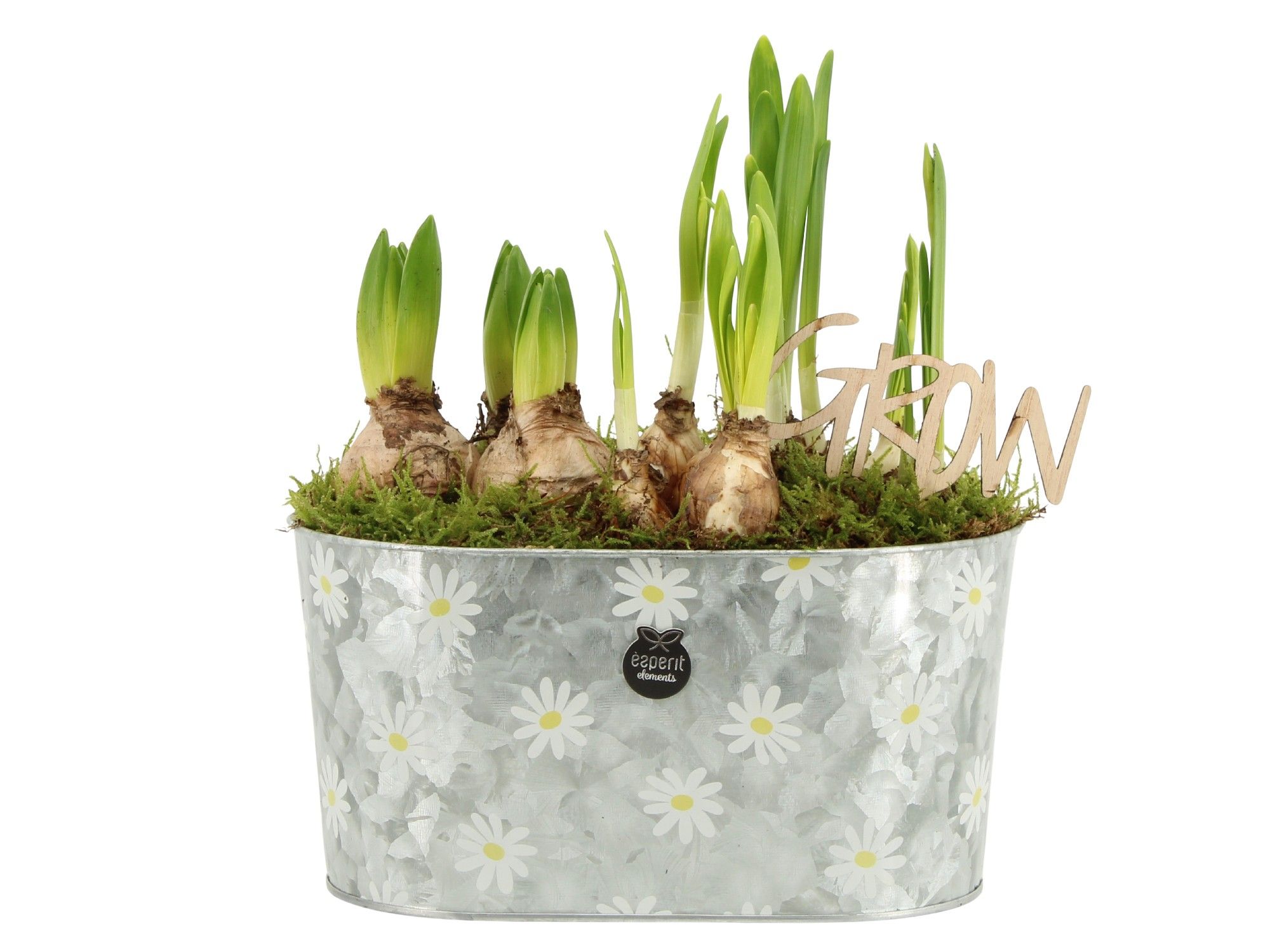 11380: Outdoor spring arrangement, D 23 cm
