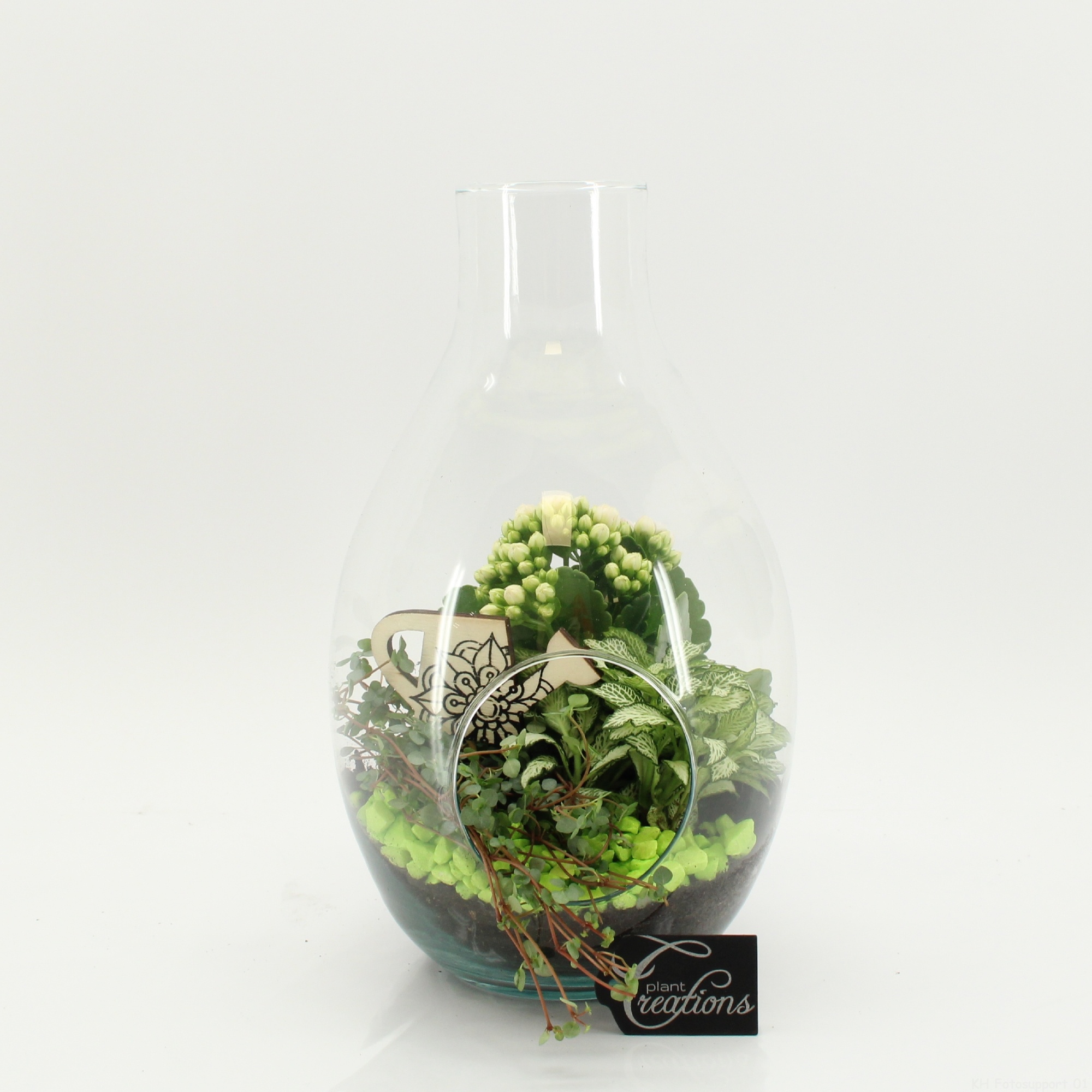 FDCR-2605GR Basic Fundamentals terrarium, D 17