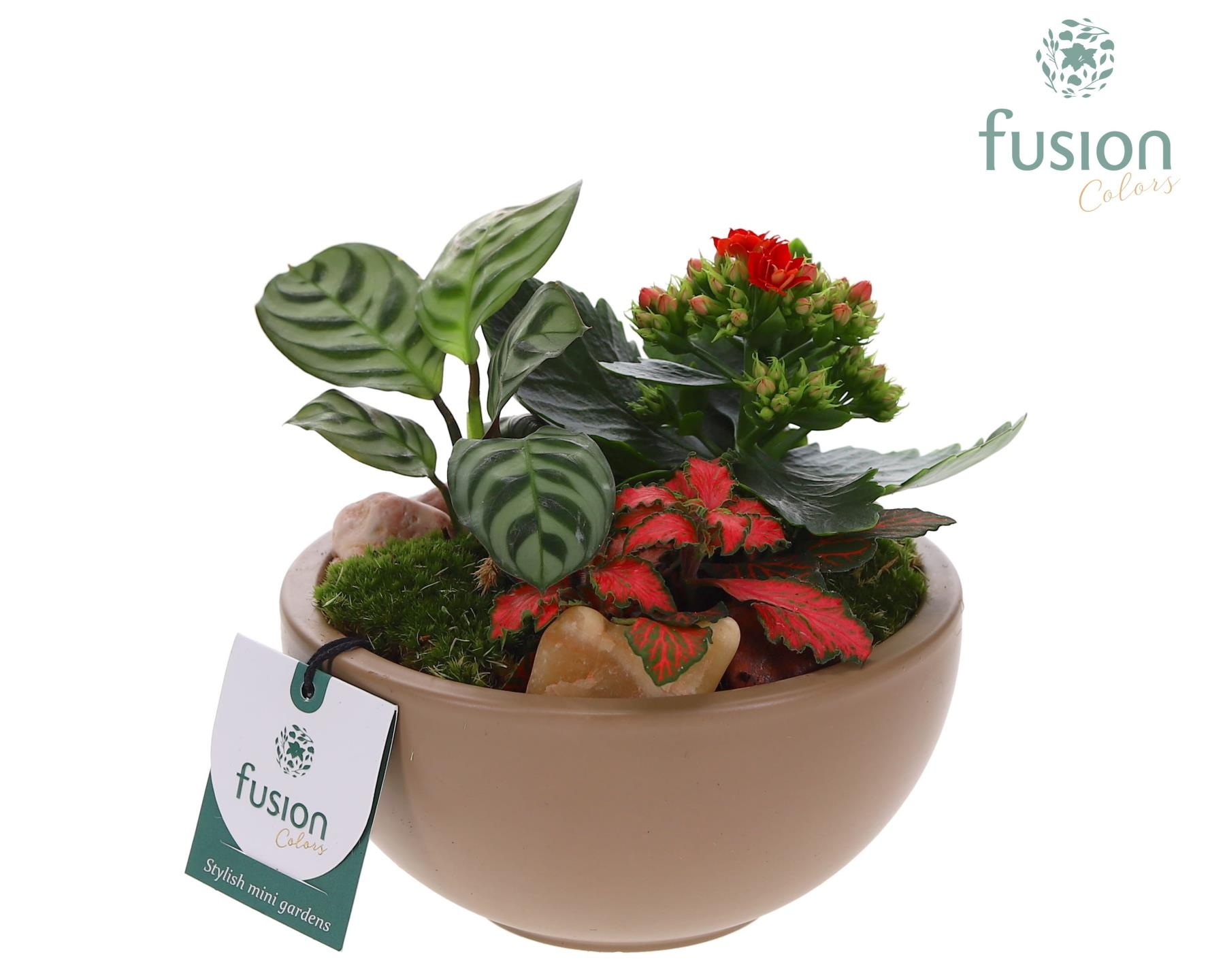 Schaal keramiek Moon Small beige Love met Arrangement, D 15