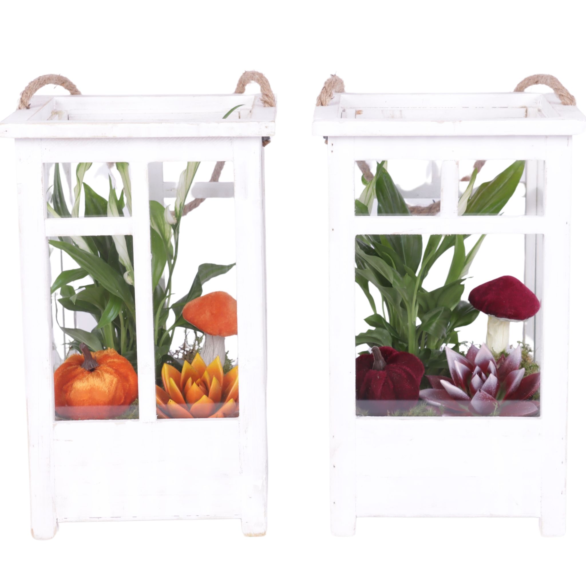 Halloween Arr. Indoor Wooden Lantern pot White mix/3 Ø19cm 2PP, D 19 cm Halloween Arr. Indoor Wooden Lantern pot White mix/3 Ø19cm 2PP, D 19 cm