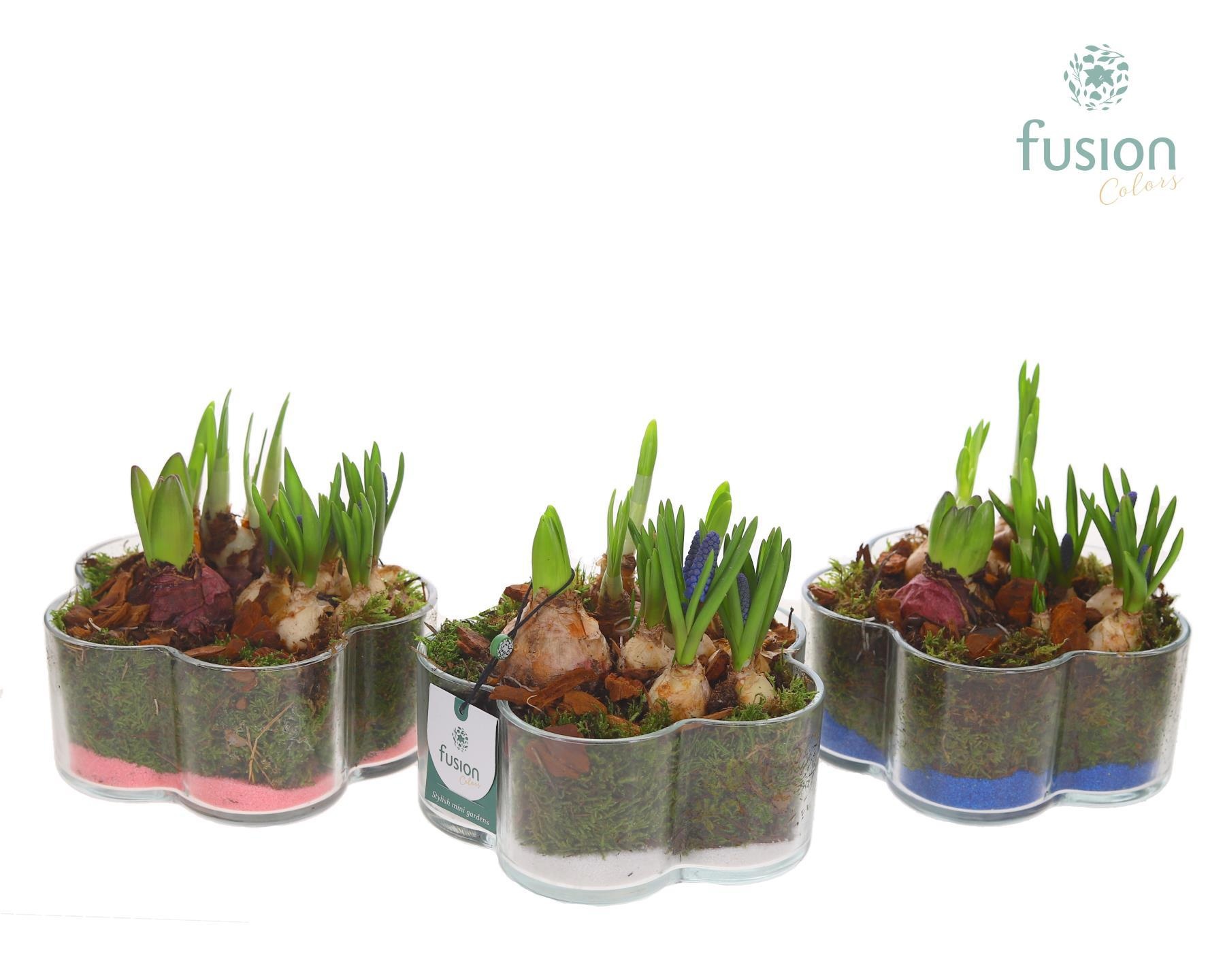 Glazen Bloemschaalmet Mixbol arrangement, D 18