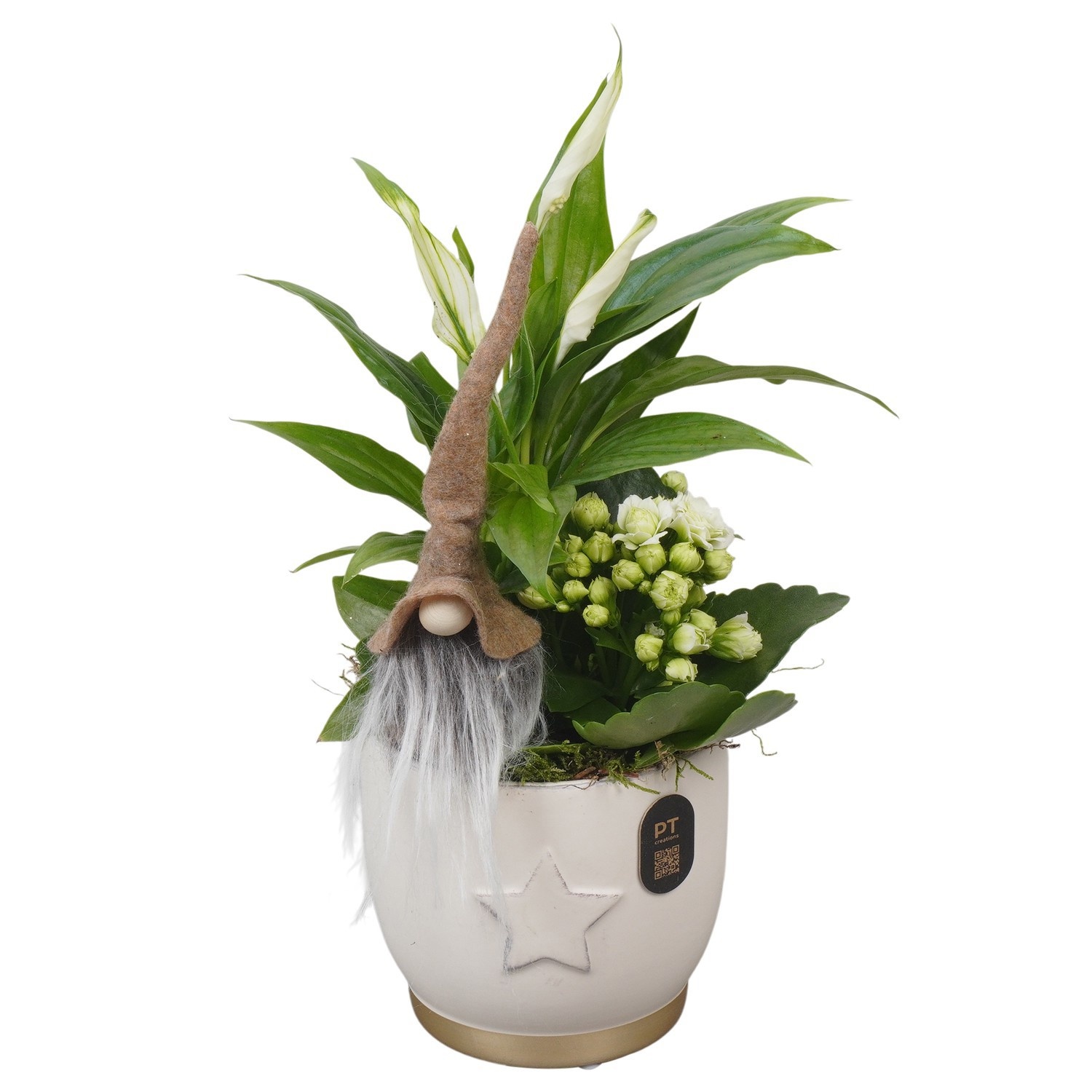 PTCHG4661 Arrangement Christmas Gold in keramiek pot, D 11