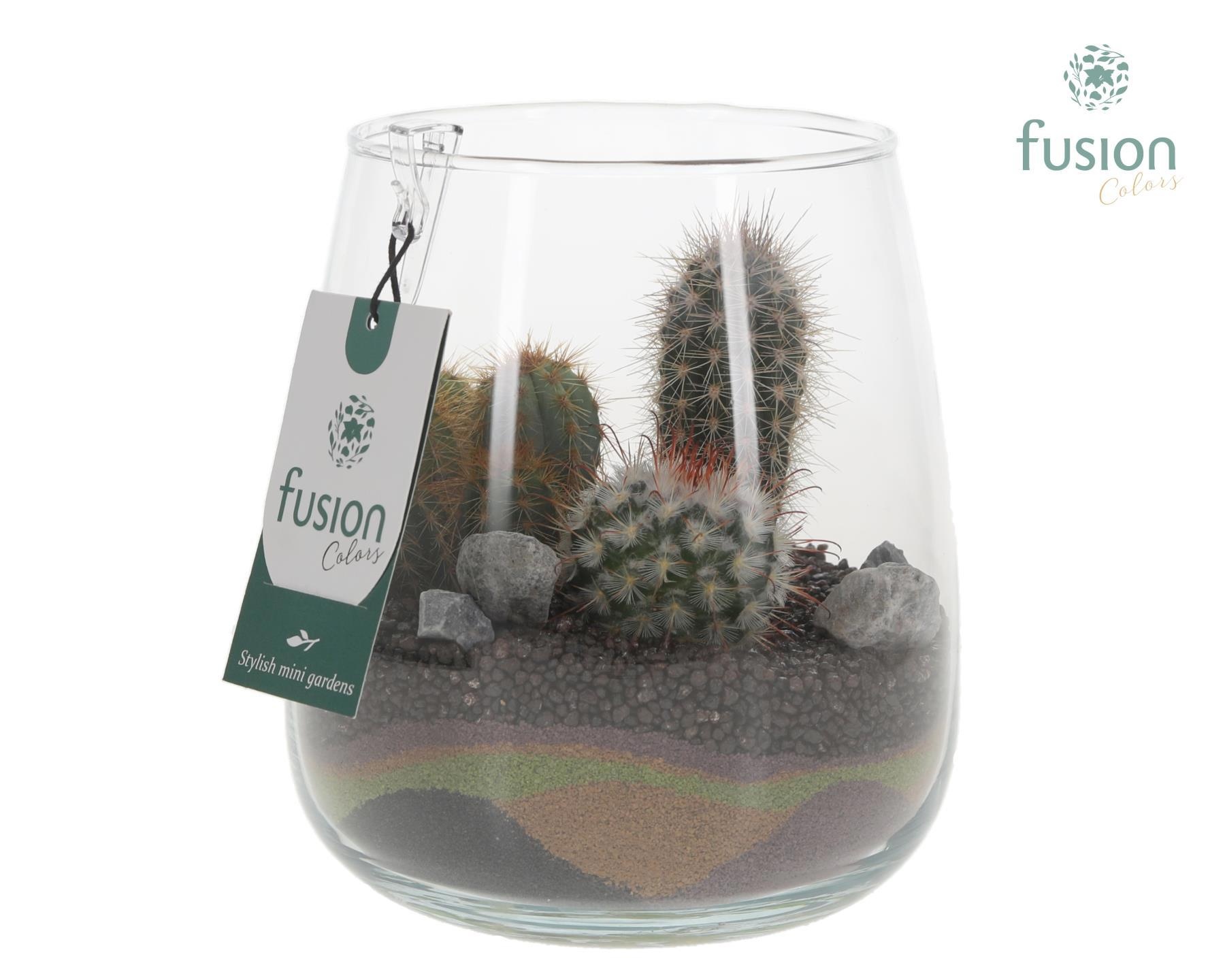 Glazen vaas Alzada met Cactus arrangement, D 15