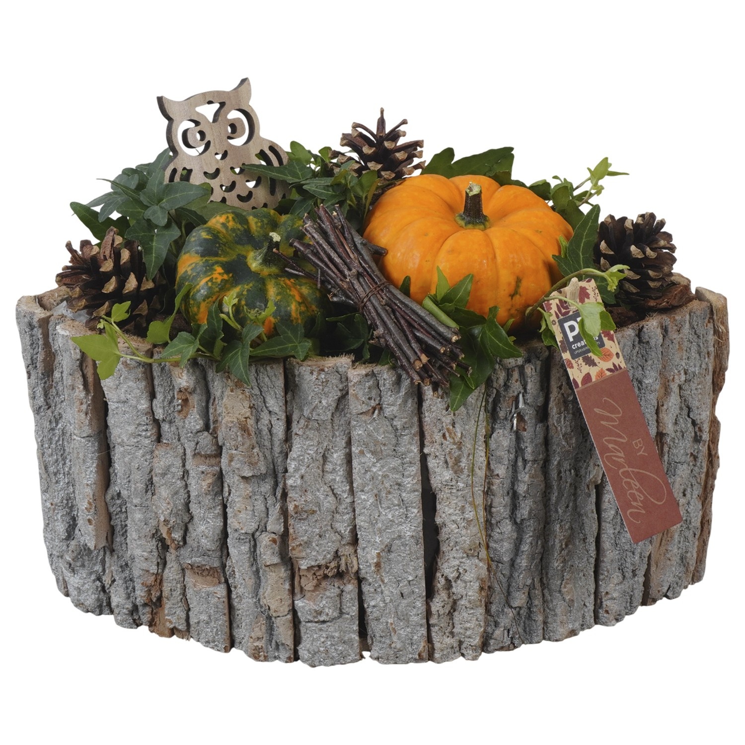 PTSF8240 Arrangement Kalebas hedera in houten pot, D 30 cm