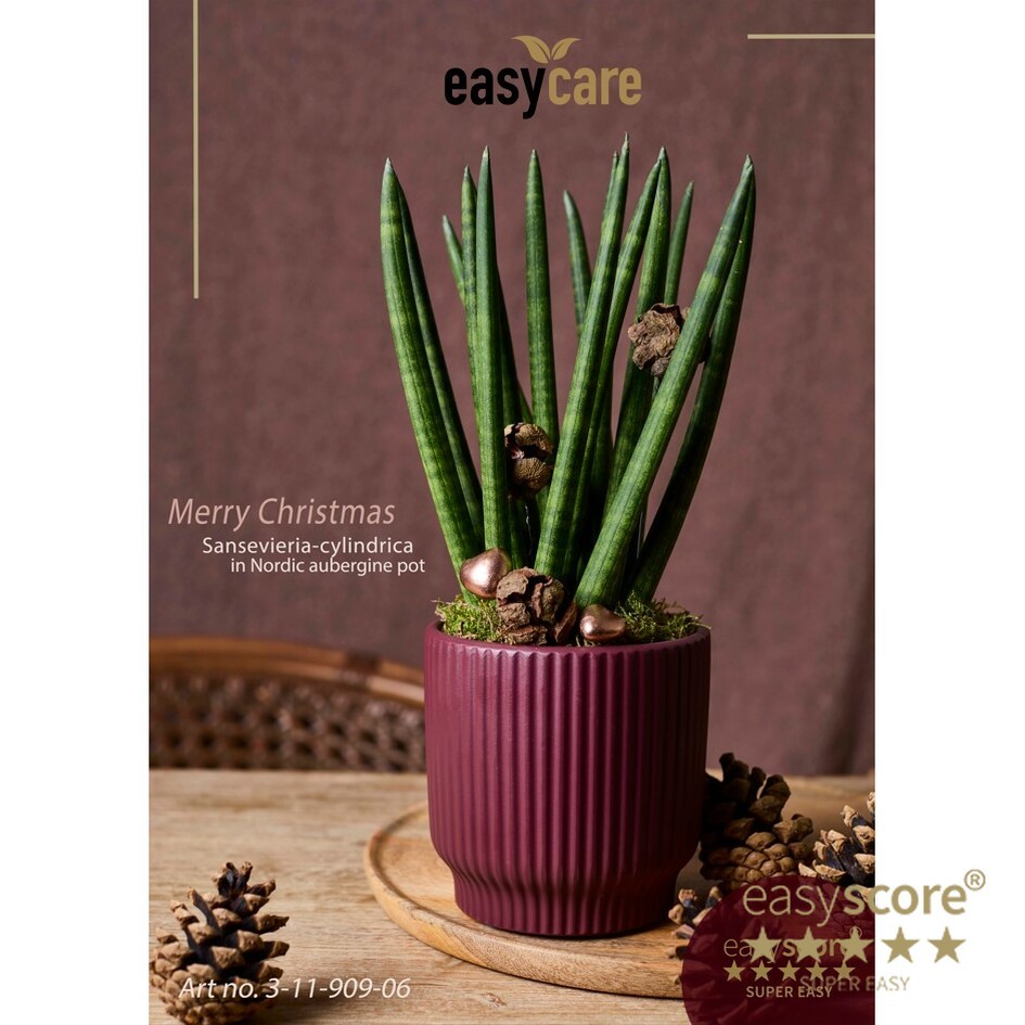 EasyCare Christmas Decoration, D 12