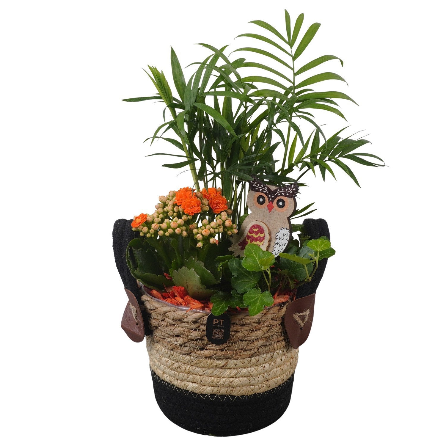 PTHI3305 Arrangement Autumn Indoor in rieten mand, D 14