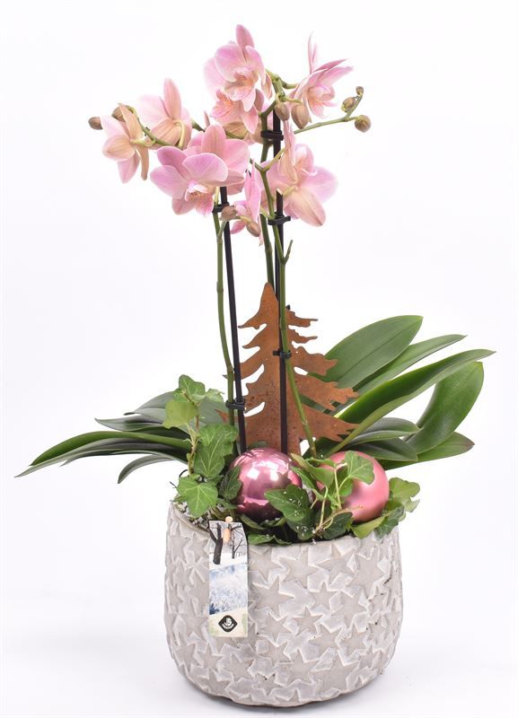 Cement pot ster 18cm, D 18 cm