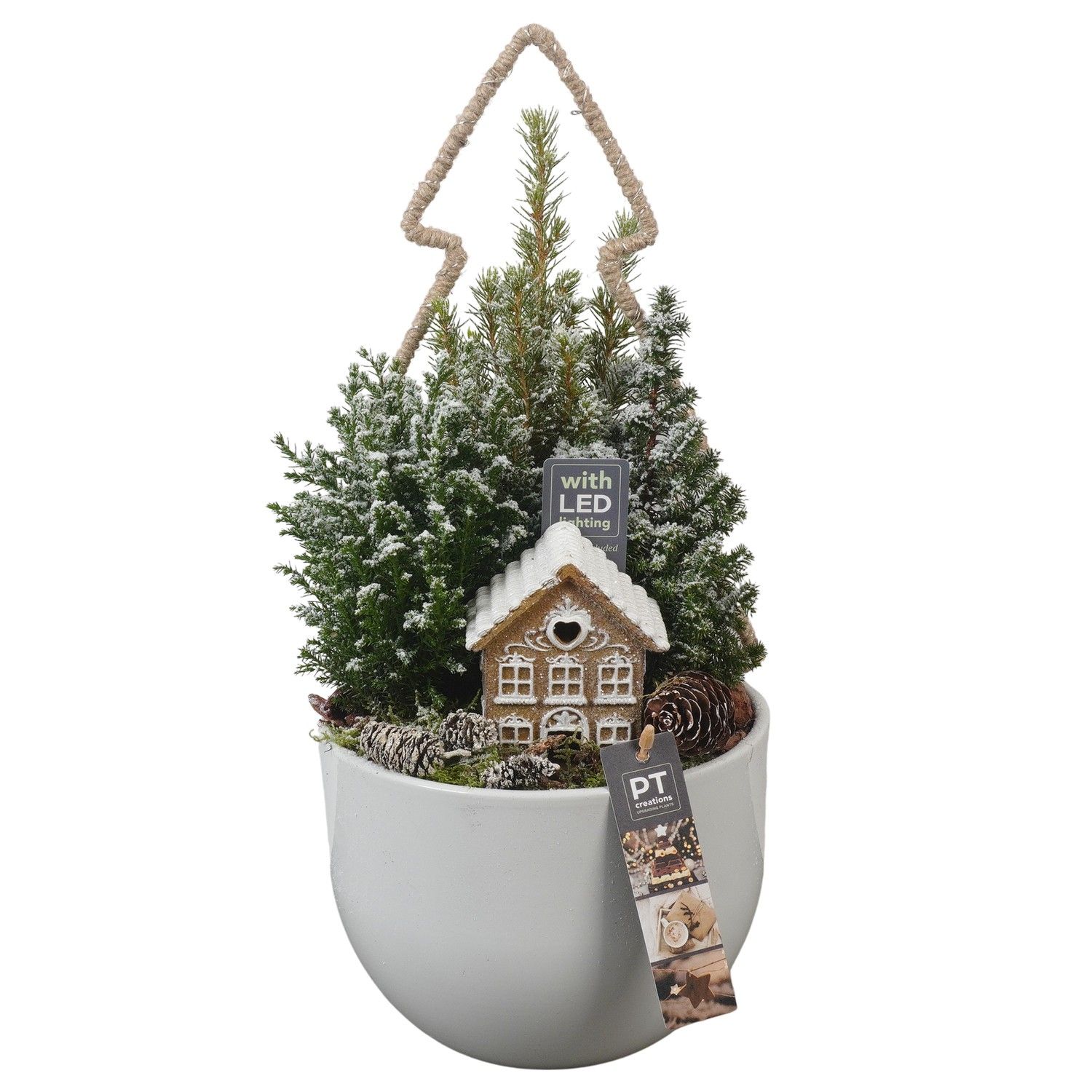 PTCWW6921 Arrangement Winter in keramiek pot, D 19 cm