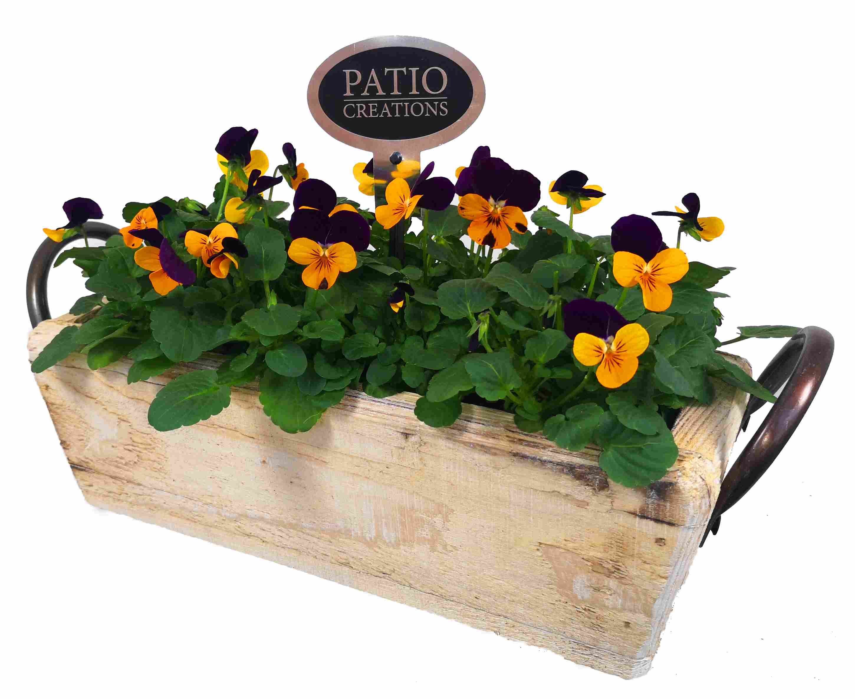 V674-9003 Viola dennenhout metaal oren M, D 32 cm V674-9003 Viola dennenhout metaal oren M, D 32 cm