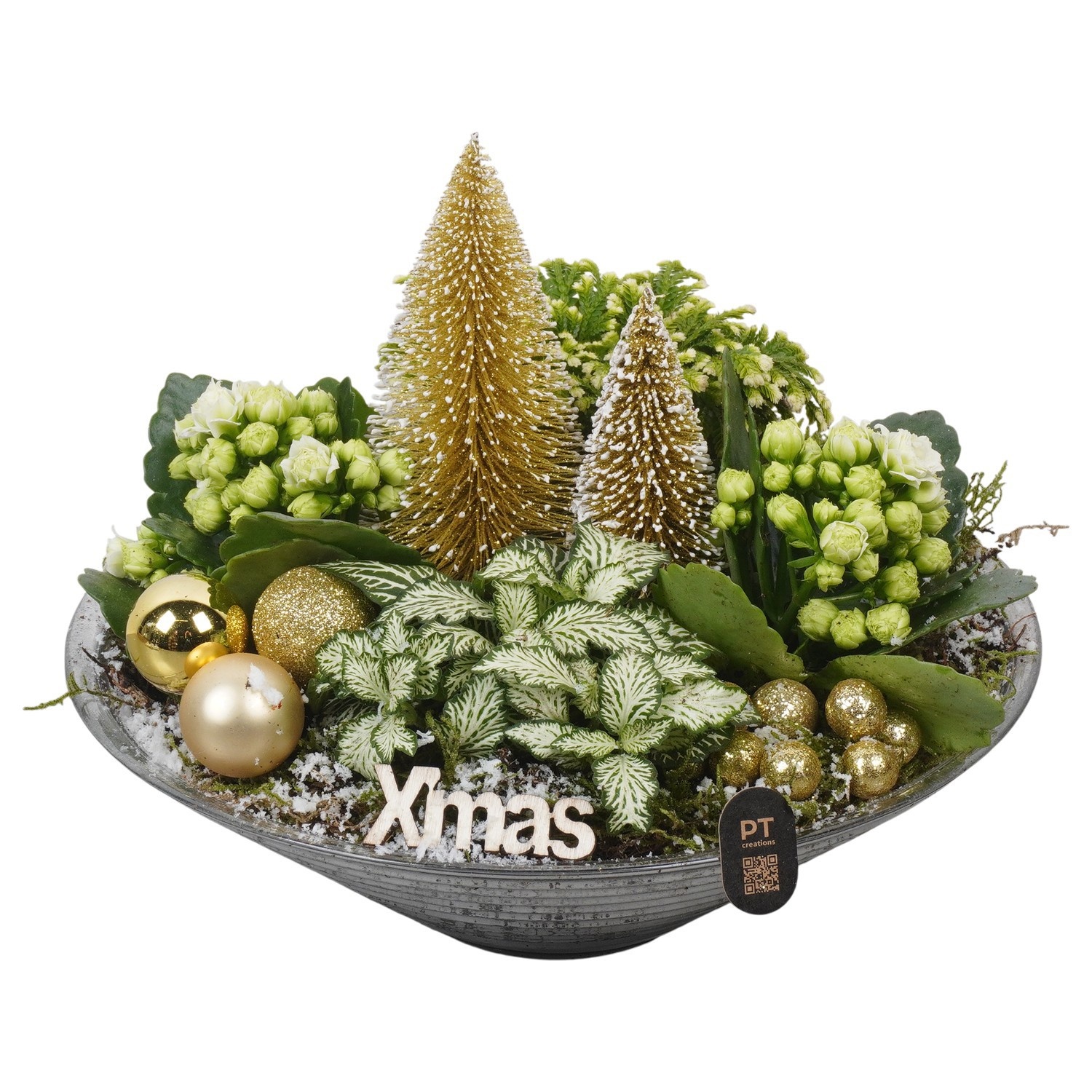 PTCHG4630 Arrangement Christmas Gold in glas schaal, D 26