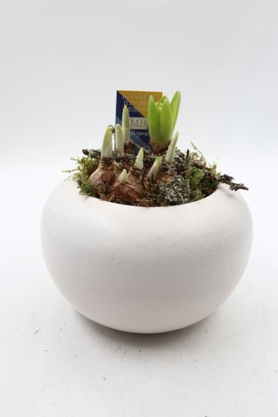 Bollen, keramiek ufo wit, D 19