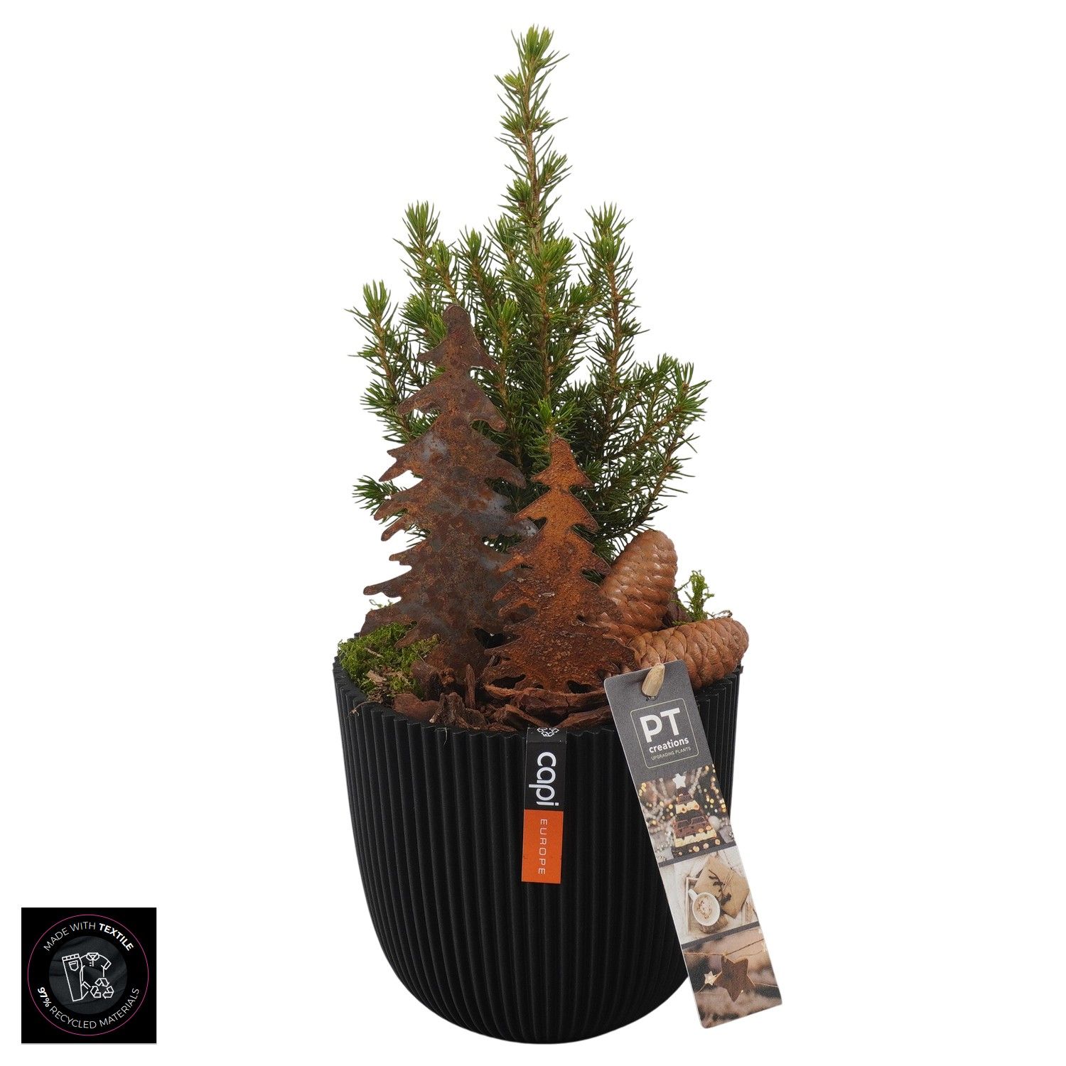 PTCWW6932 Arrangement Winter in capi pot, D 13 cm