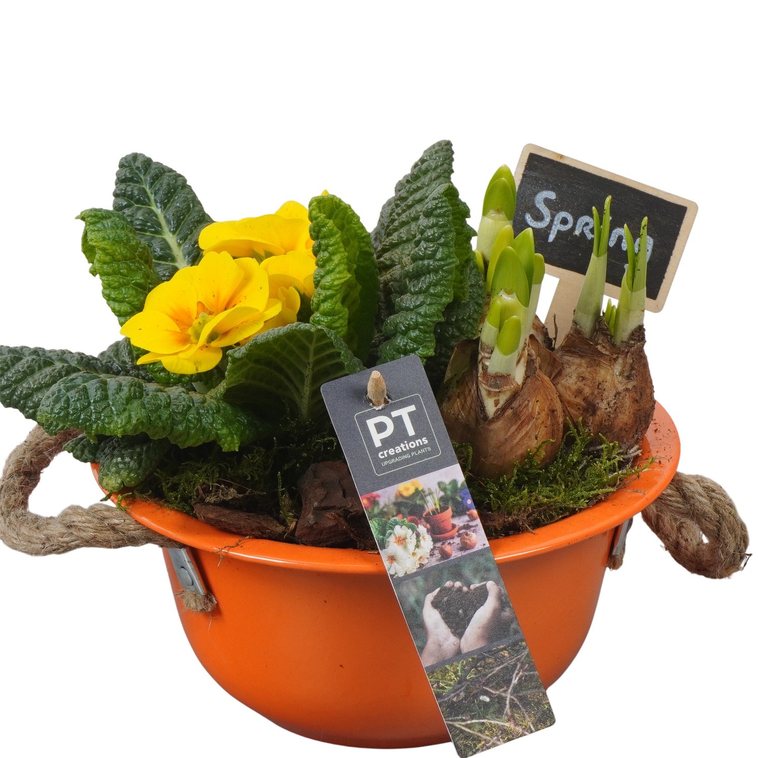 PTBM3707 Arrangement Flower Bulbs Mix in metalen schaal, D 18