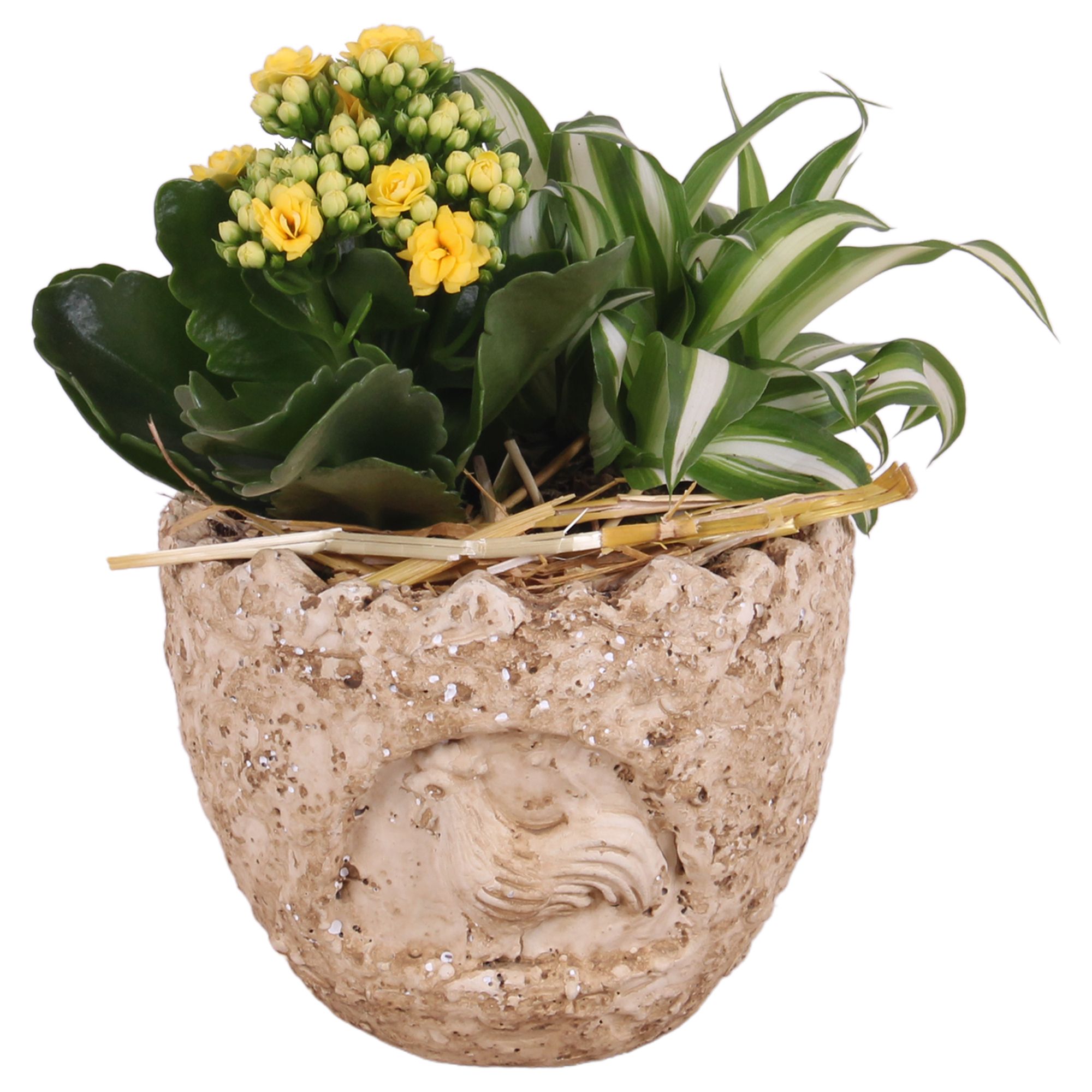 Easter Arr. Indoor Ceramic Lavastone Egg Chicken ReliefØ14cm 2PP, D 14