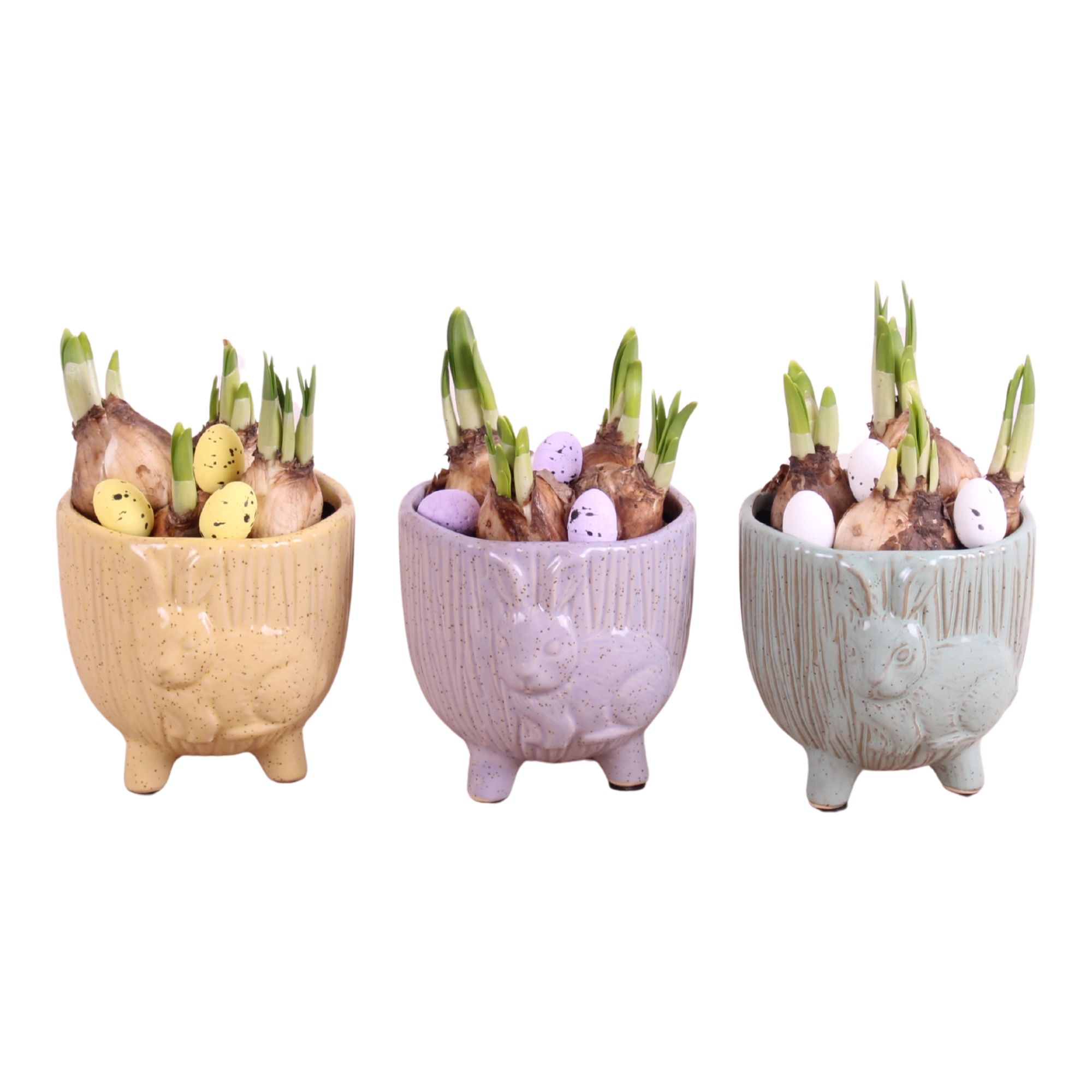 Easter Arr. Narcis Ceramic Pot Round Rabbit Feet Ø11cm, D 11