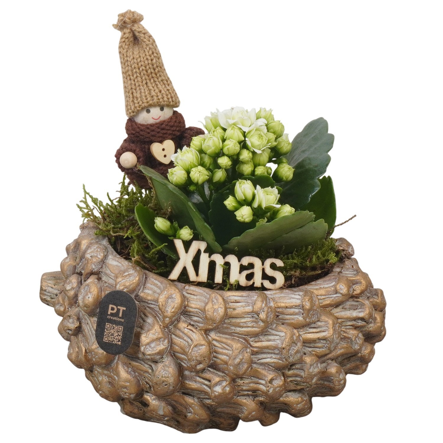 PTCHG4665 Arrangement Christmas Gold in beton pot, D 16