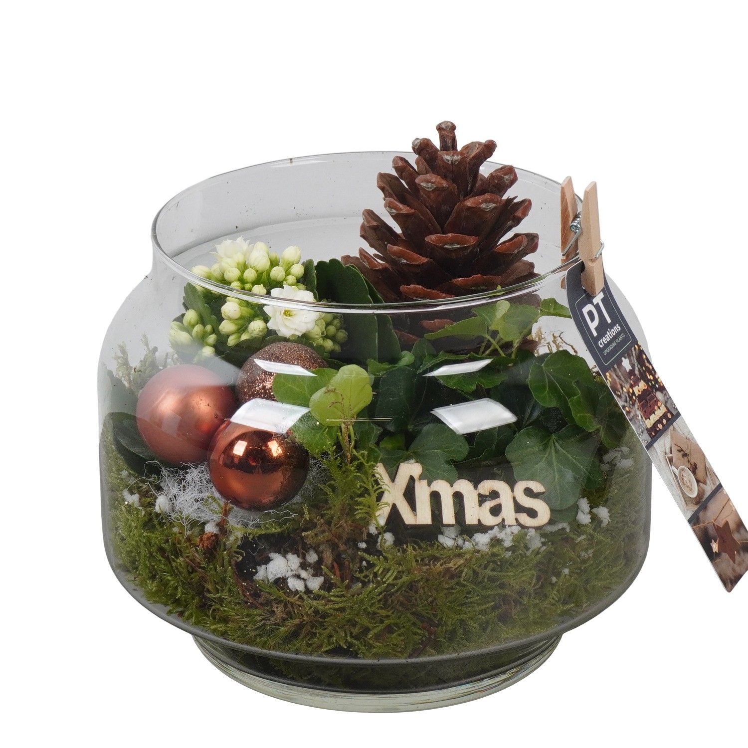 PTCHB9865 Arrangement Christmas Bronze in glazen pot, D 16 cm