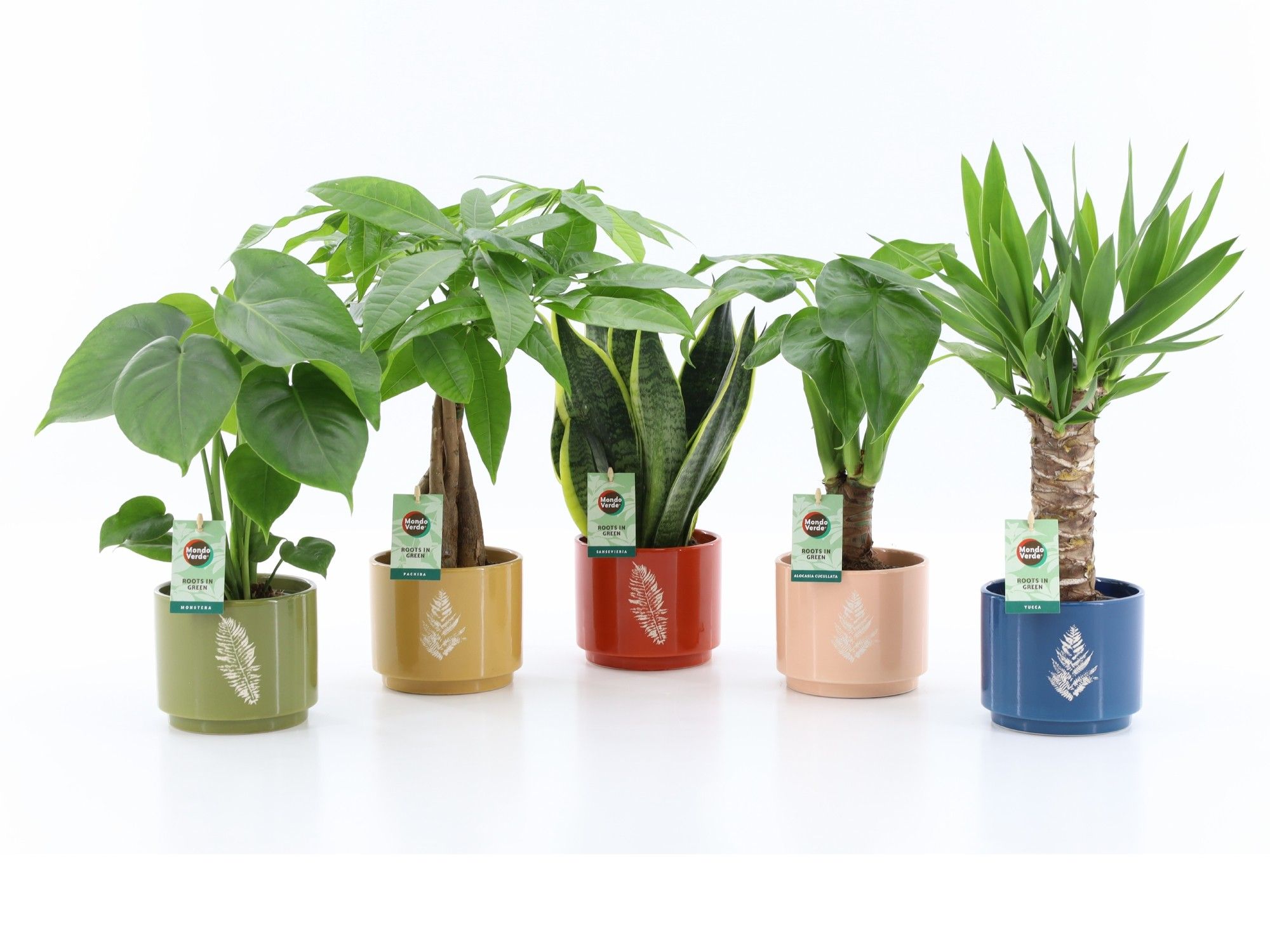 Tropic Mix in Artistique Keramiek, D 14