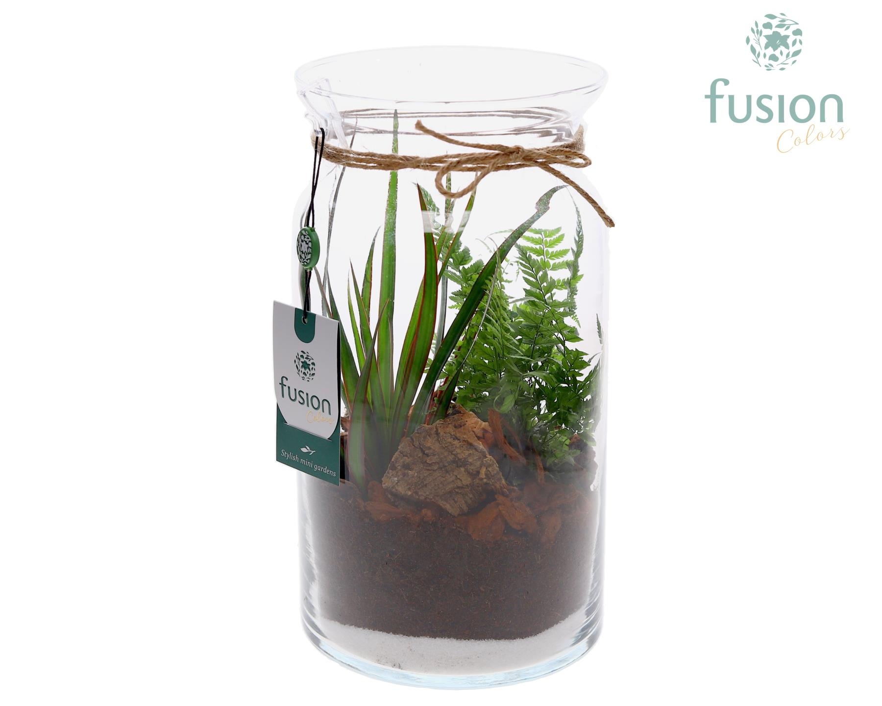 Glas Melkbus met arrangement, D 16